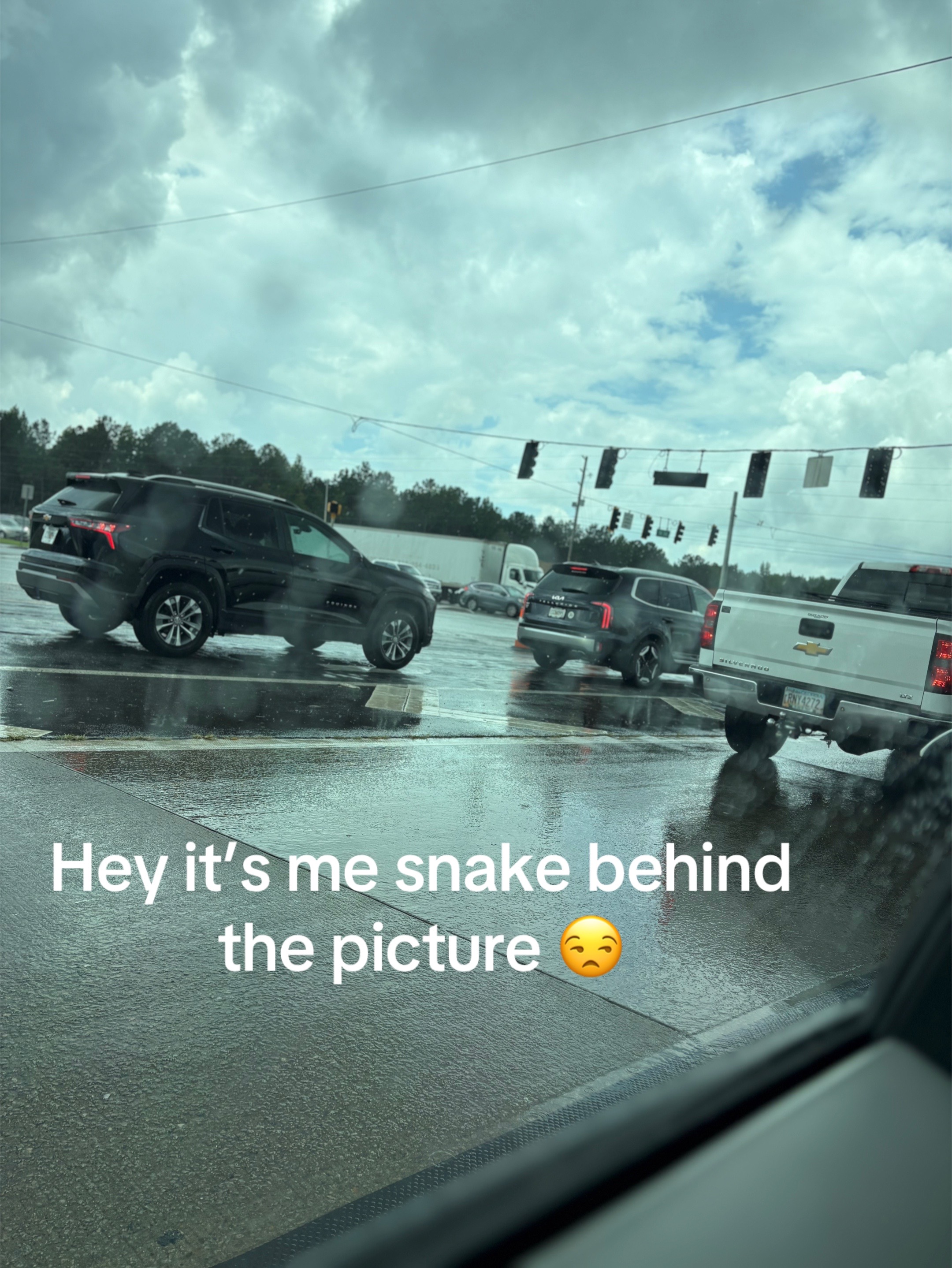 @rattlesnakefaxee