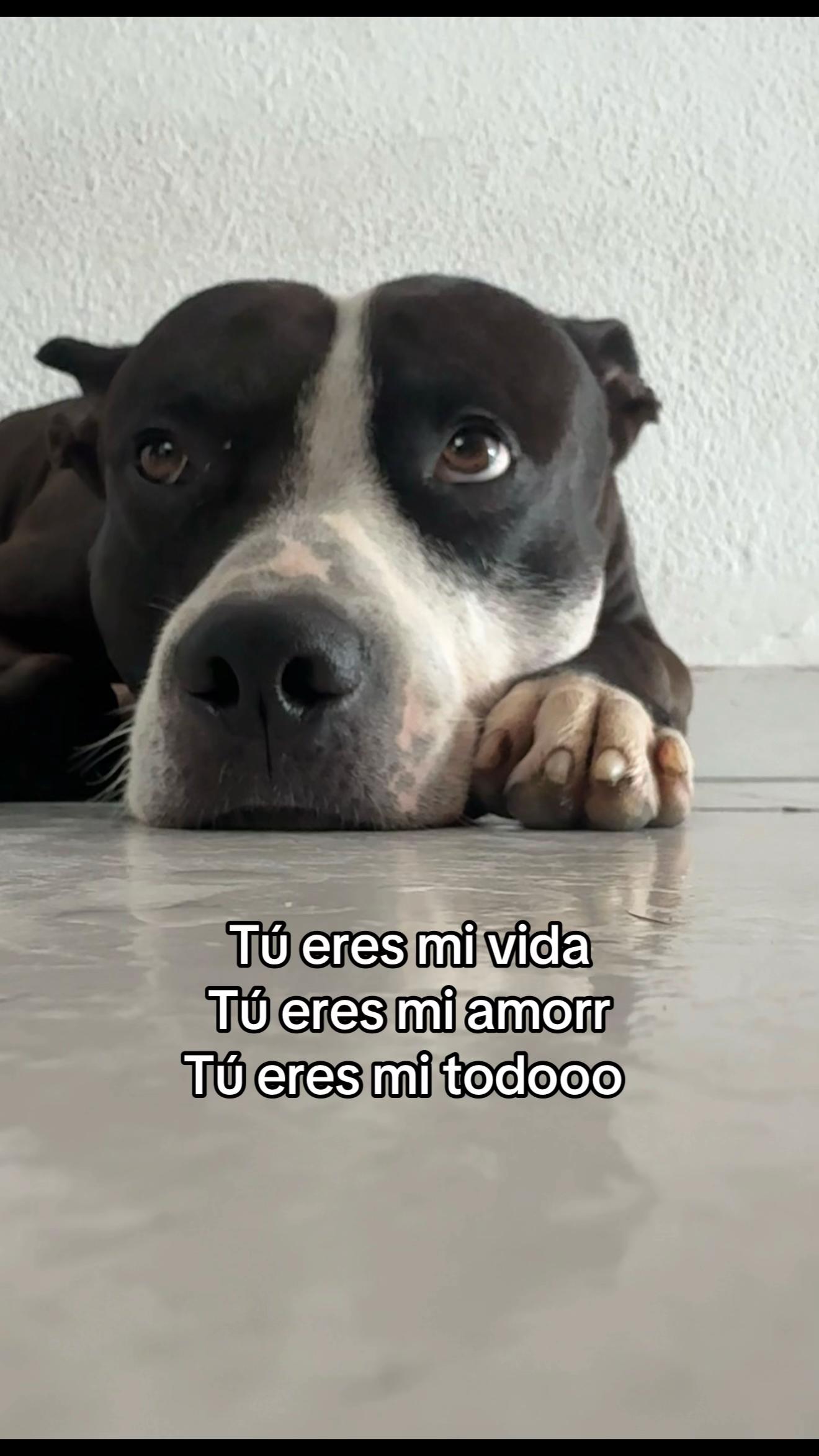 @Wendy Jara