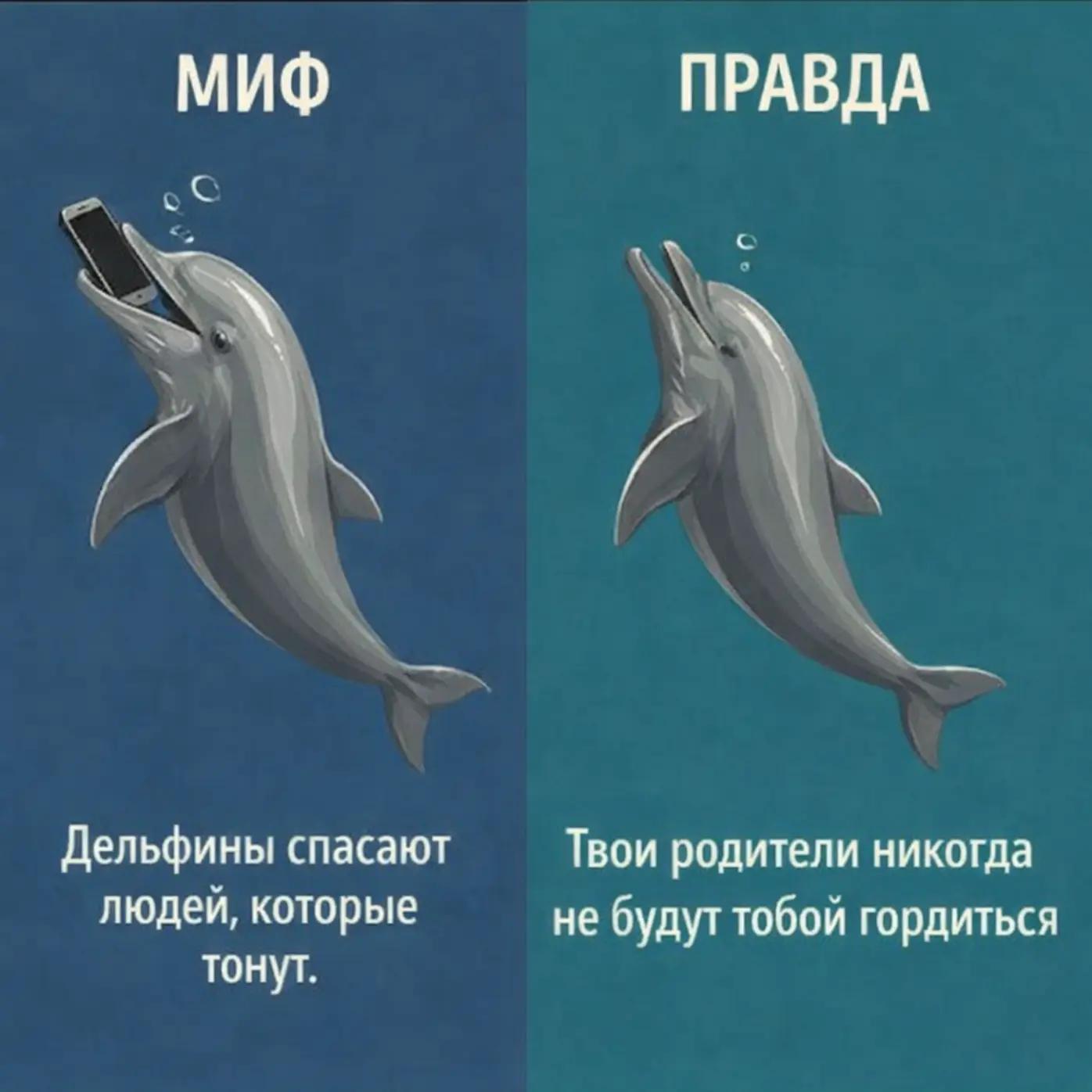 @mertvaya.