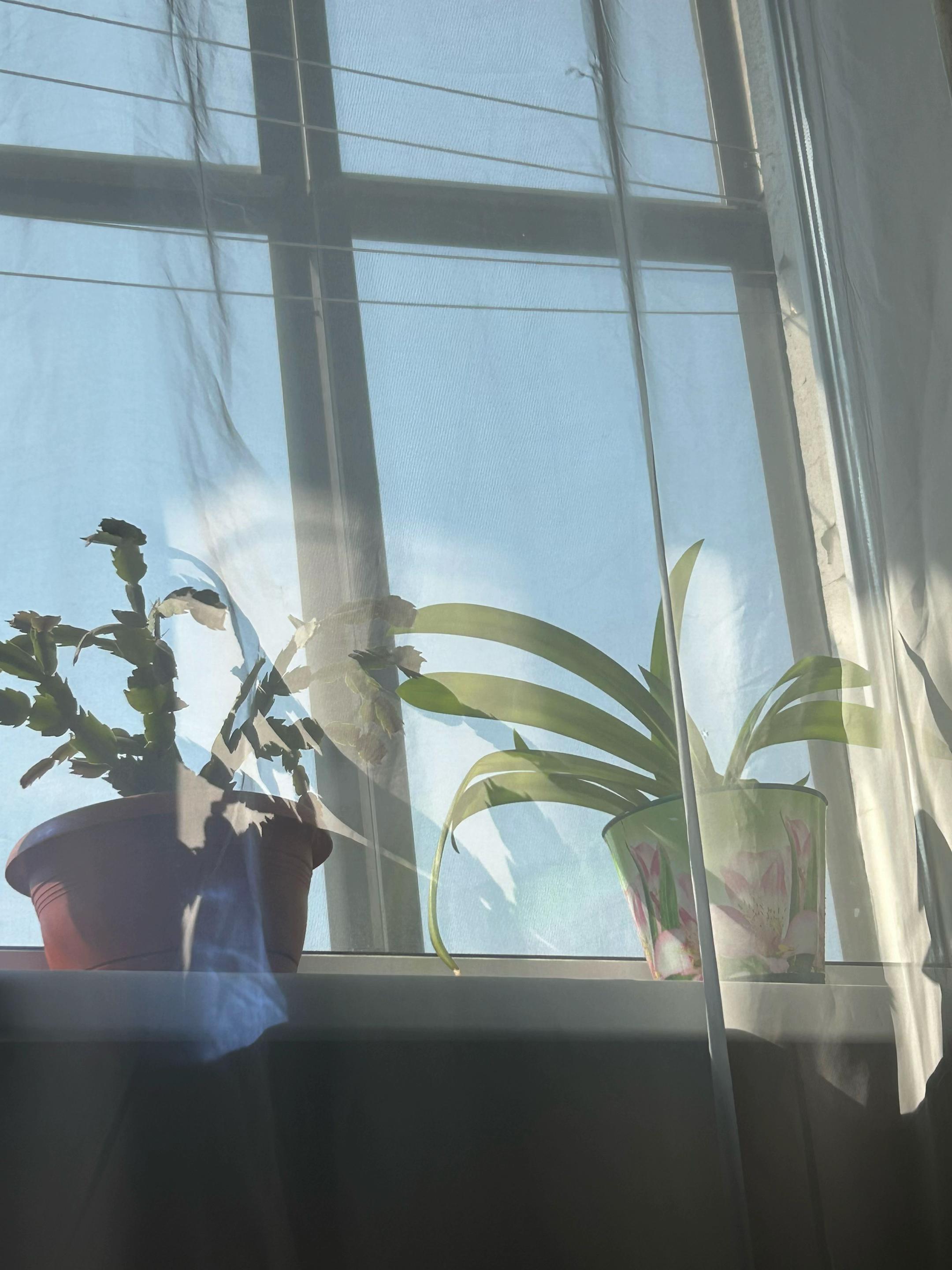 @Мицу слэй