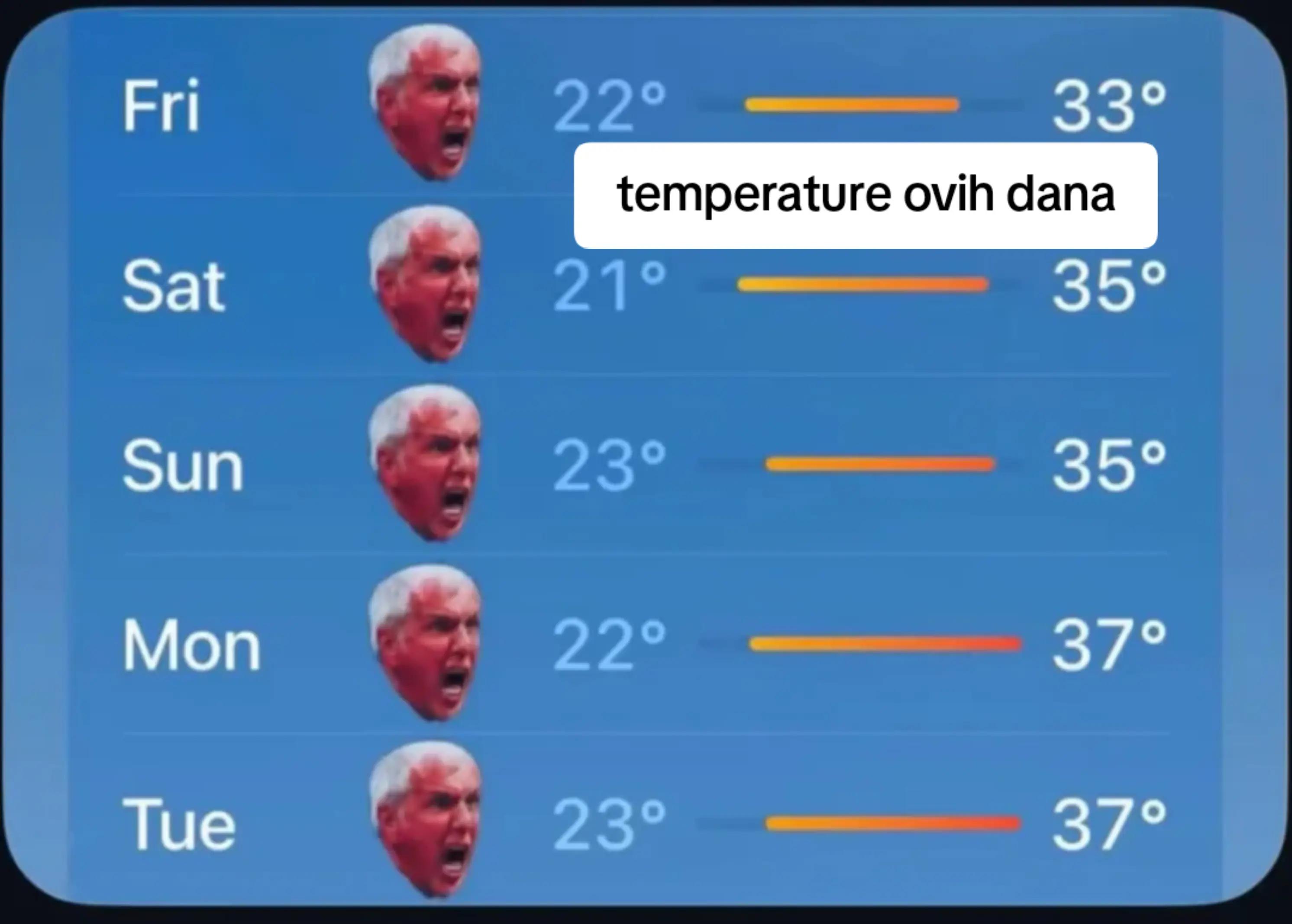 @цигани лудаци