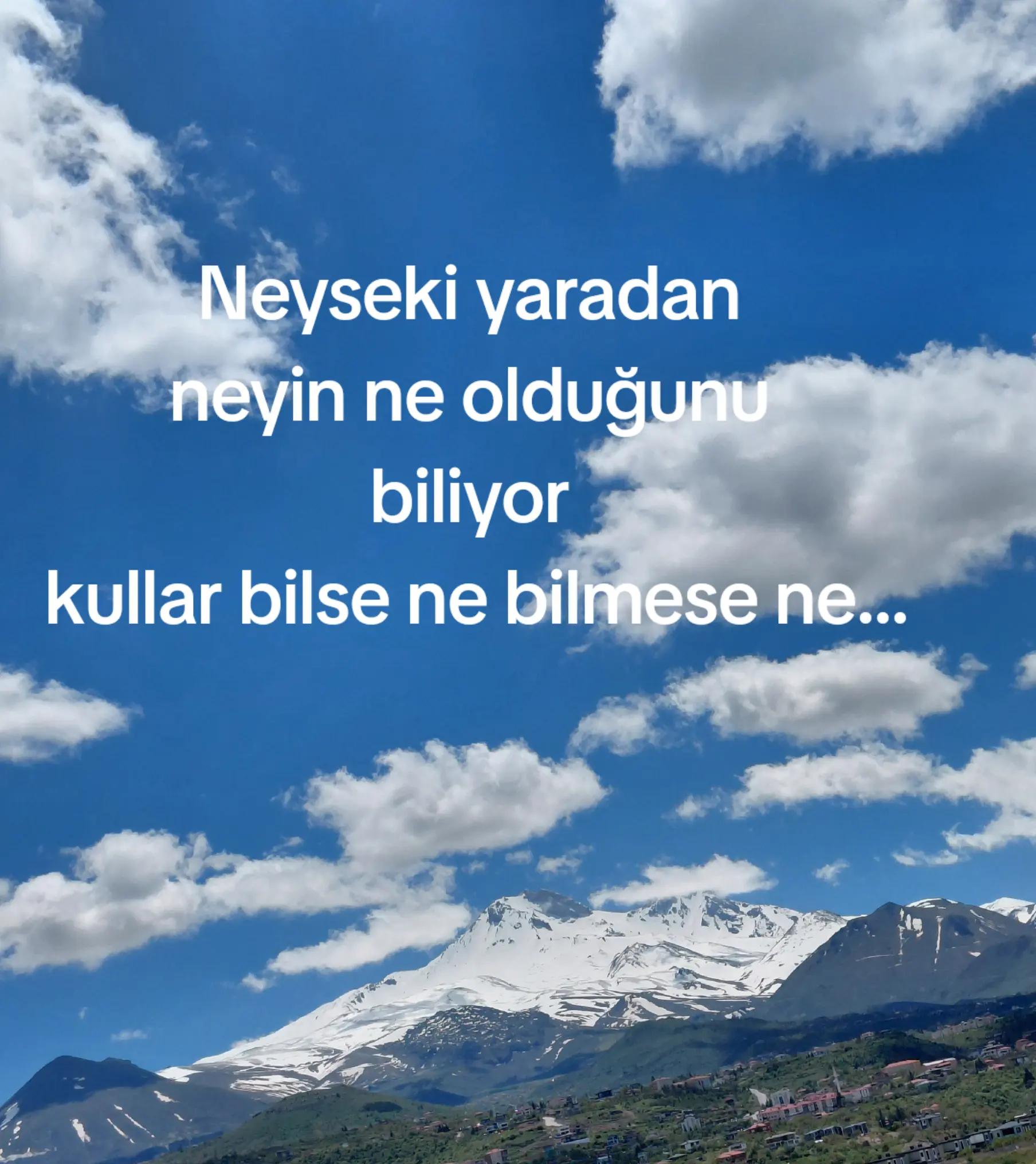 @Hay&acirc;l3807
