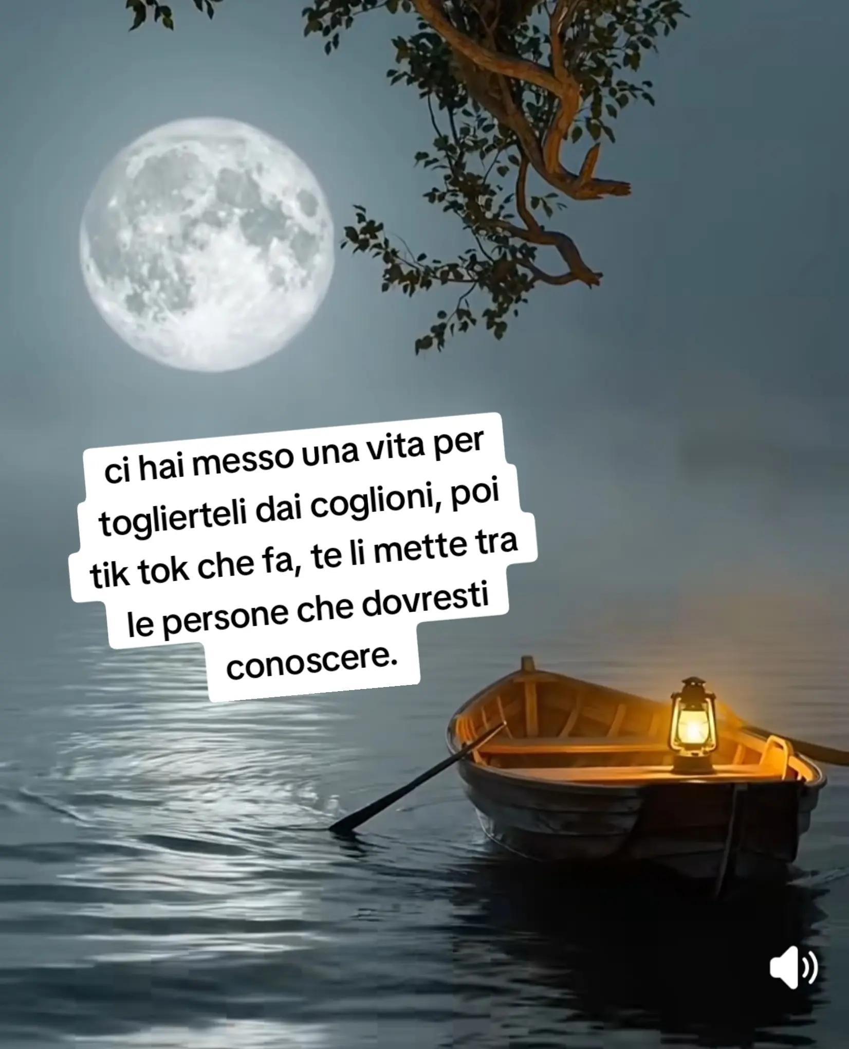 @ciropugliese379