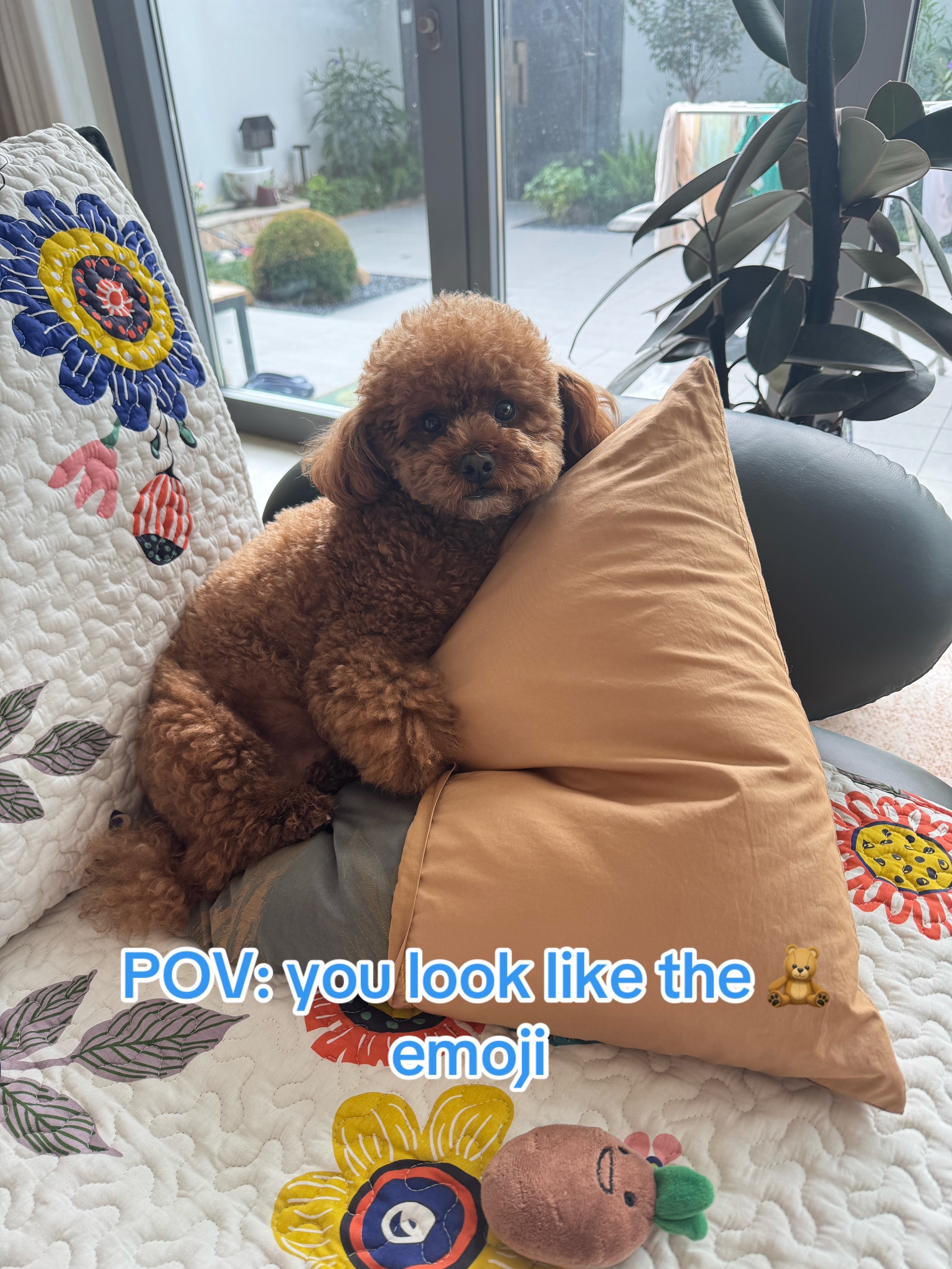 @Gizmo🧸