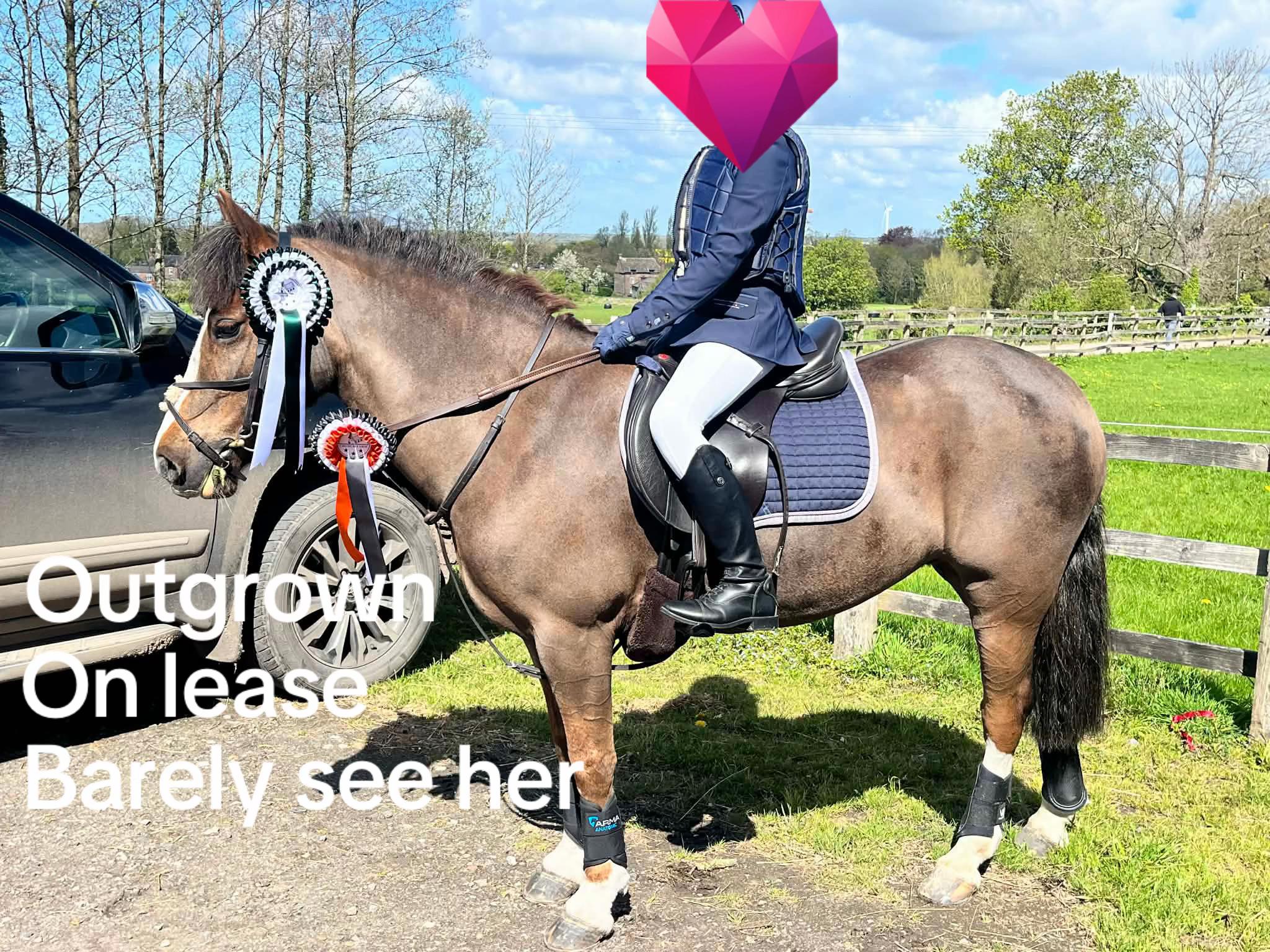 @🐎🤭