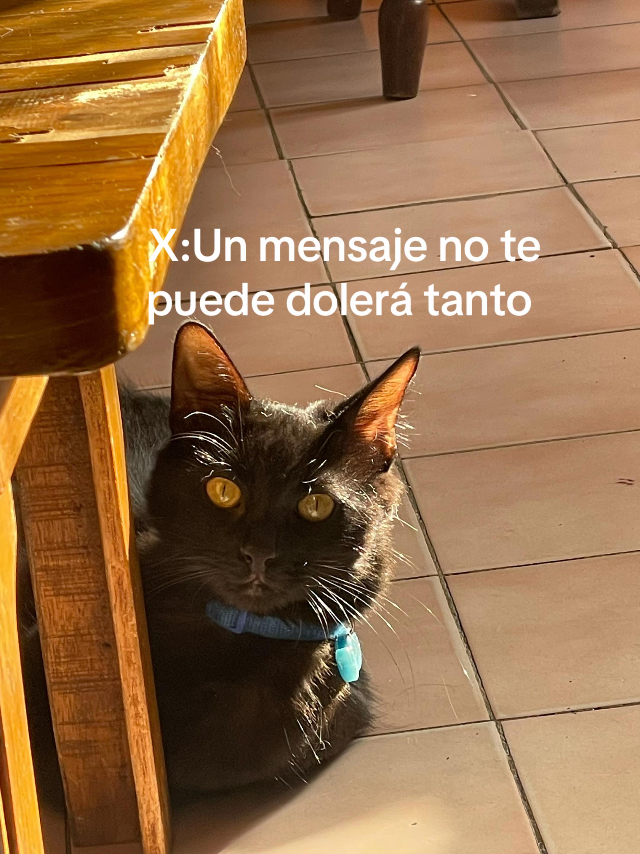 @OSCA'R