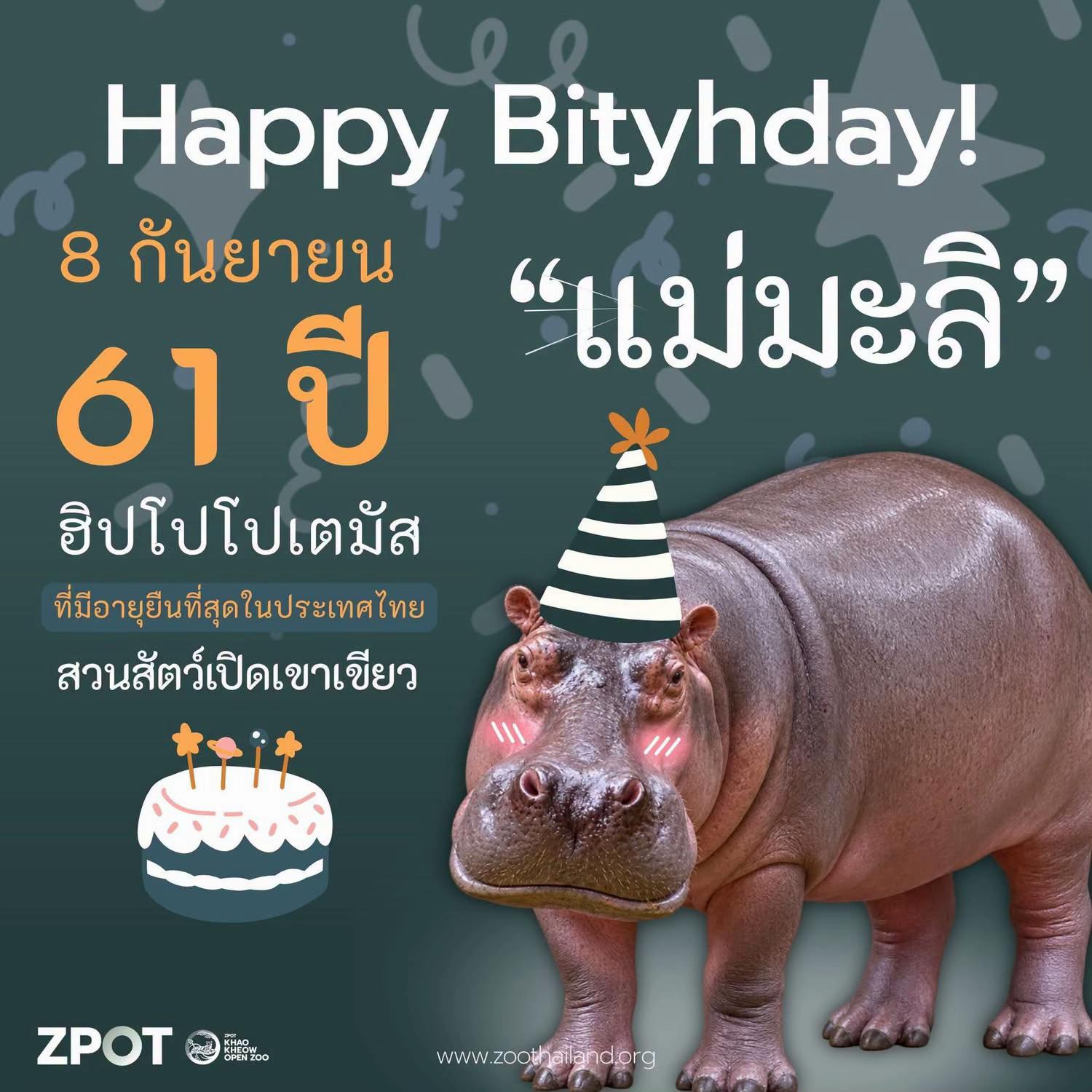 @Zoothailand_ZPOT