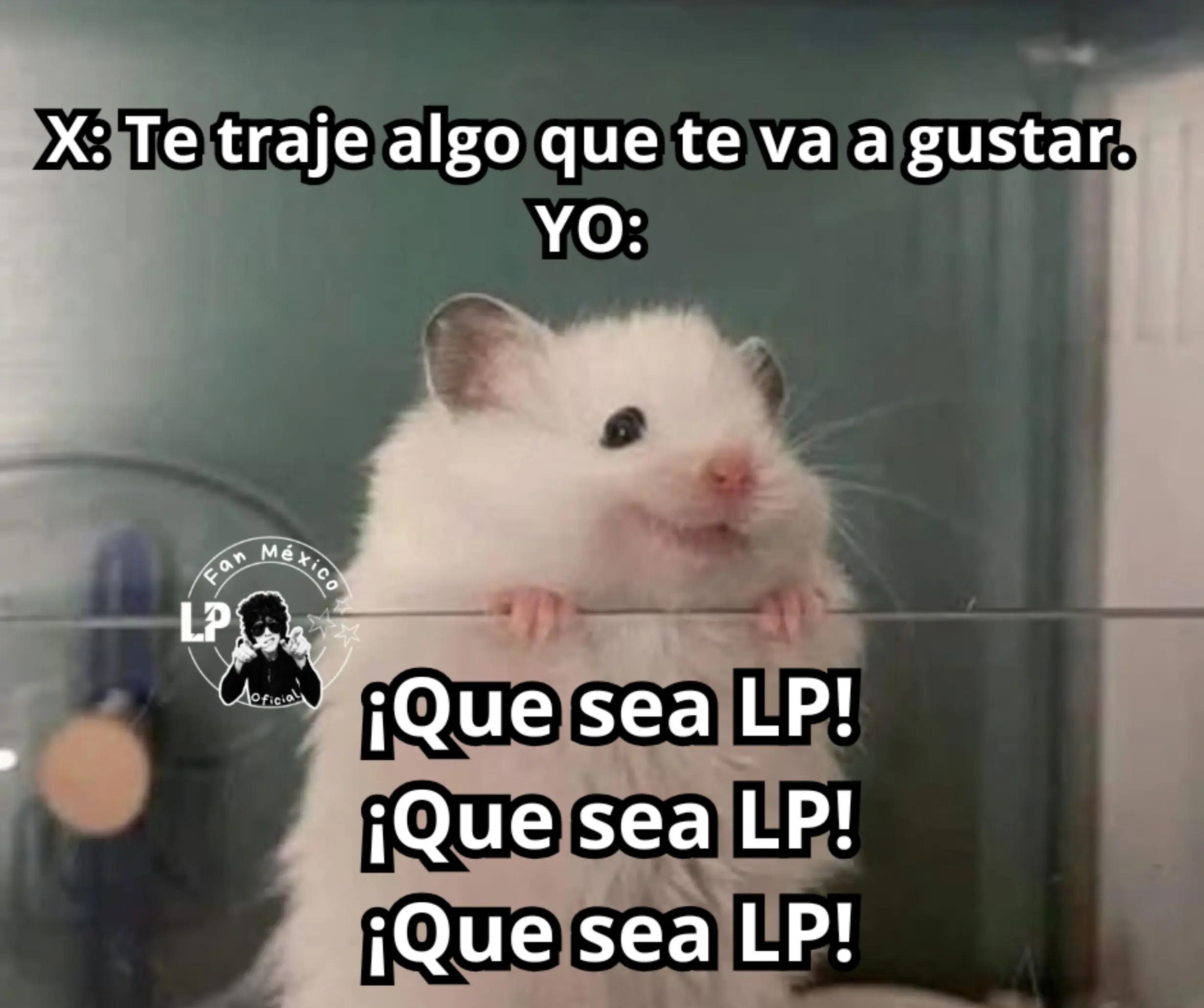 @LP Fan M&eacute;xico Oficial