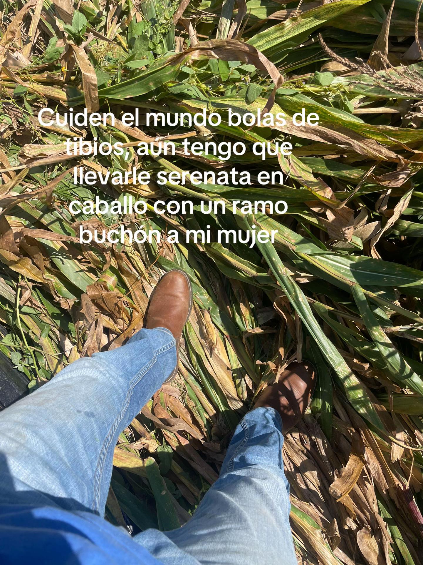 @Adrián__v_v