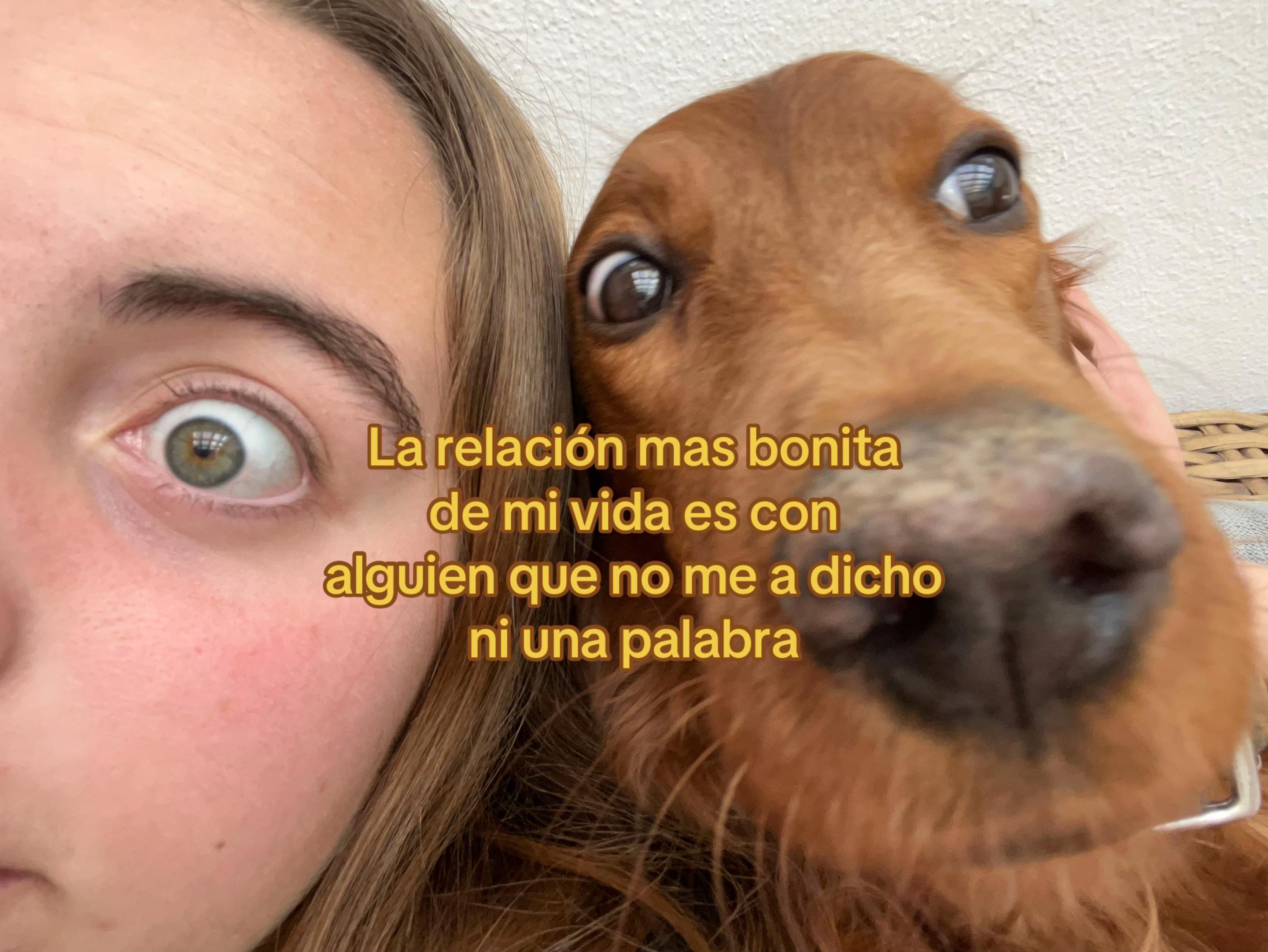 @Amelie Rivero