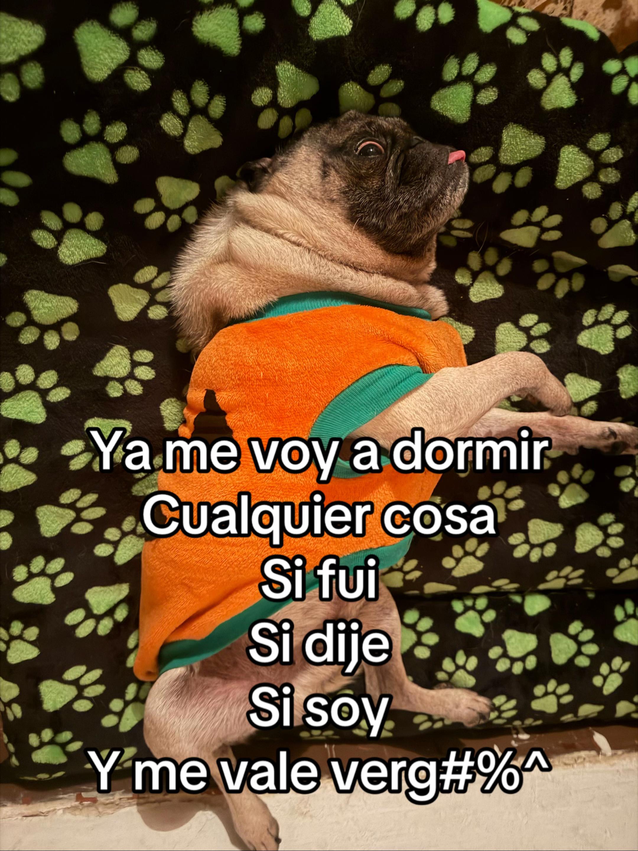 @sandyeleguacita