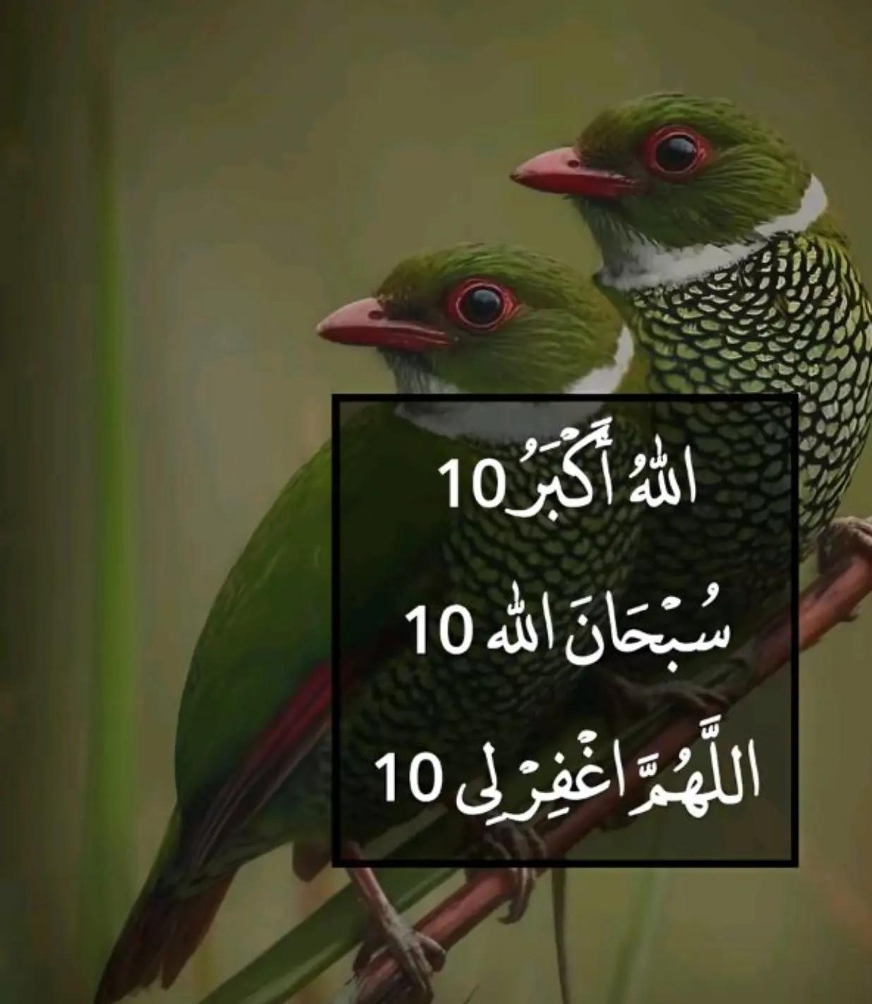 @Abdul Halim