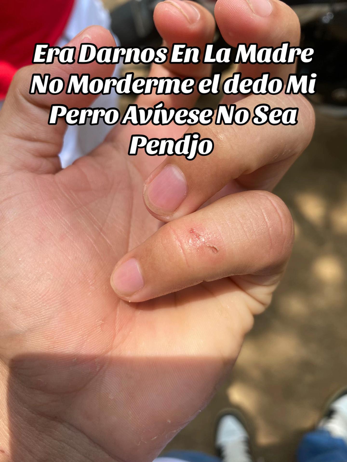 @emma_arevalo.0