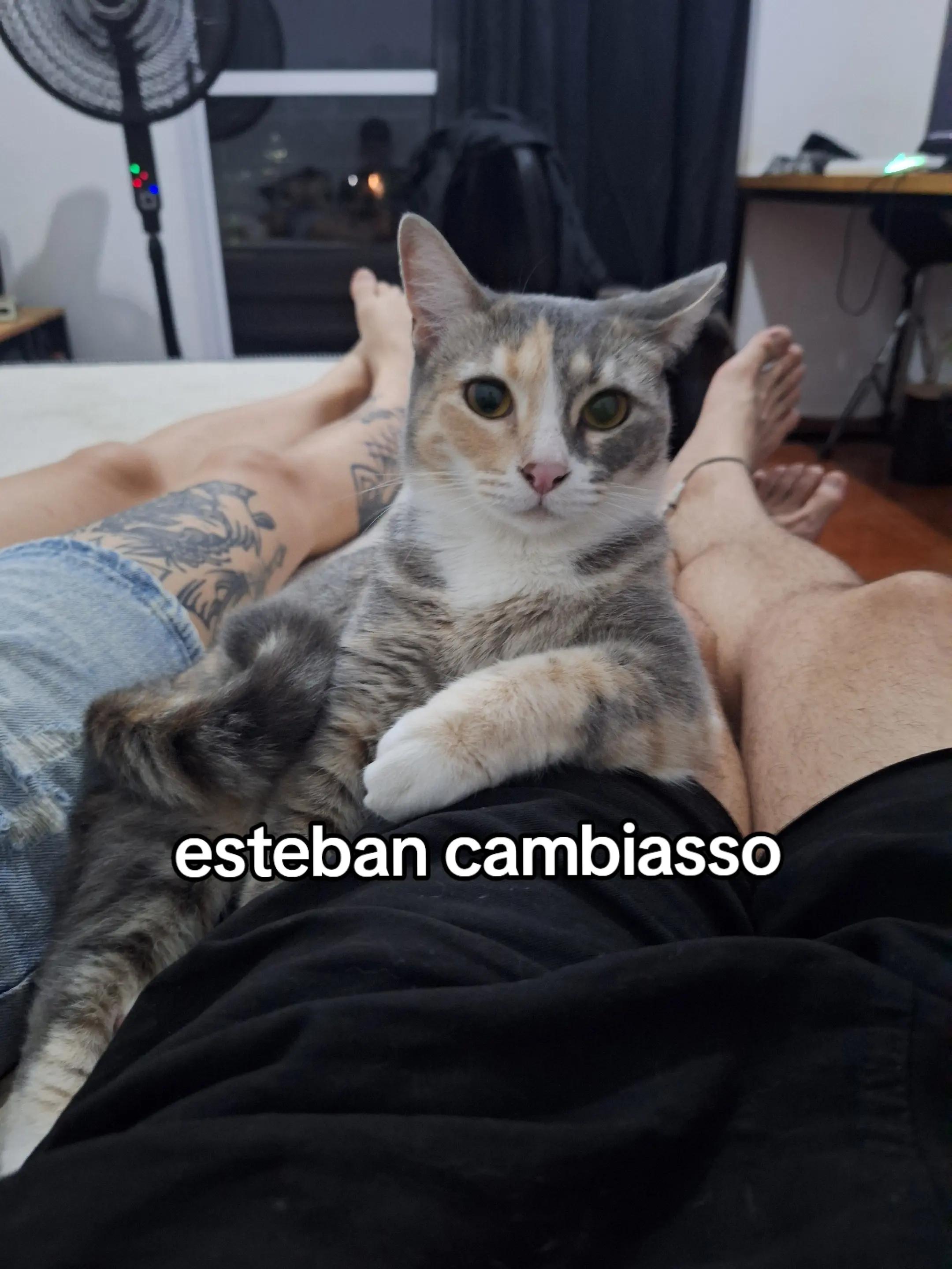 @Alejo Delo