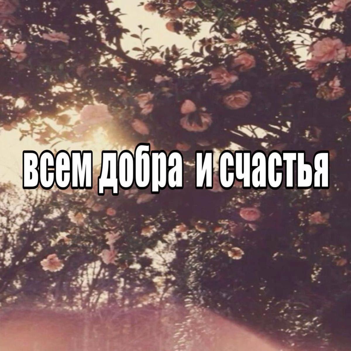 @dhampi’r