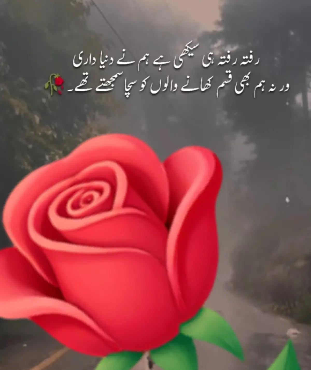 @Sahar Noor