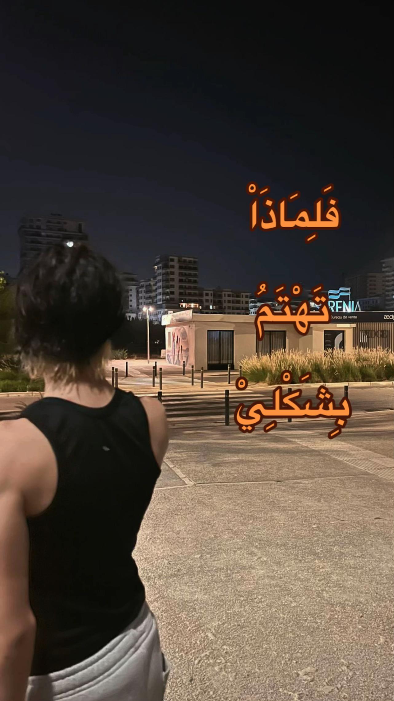 @𝗧𝗵𝗲𝗼 *ੈ ༘⋆ 🎸
