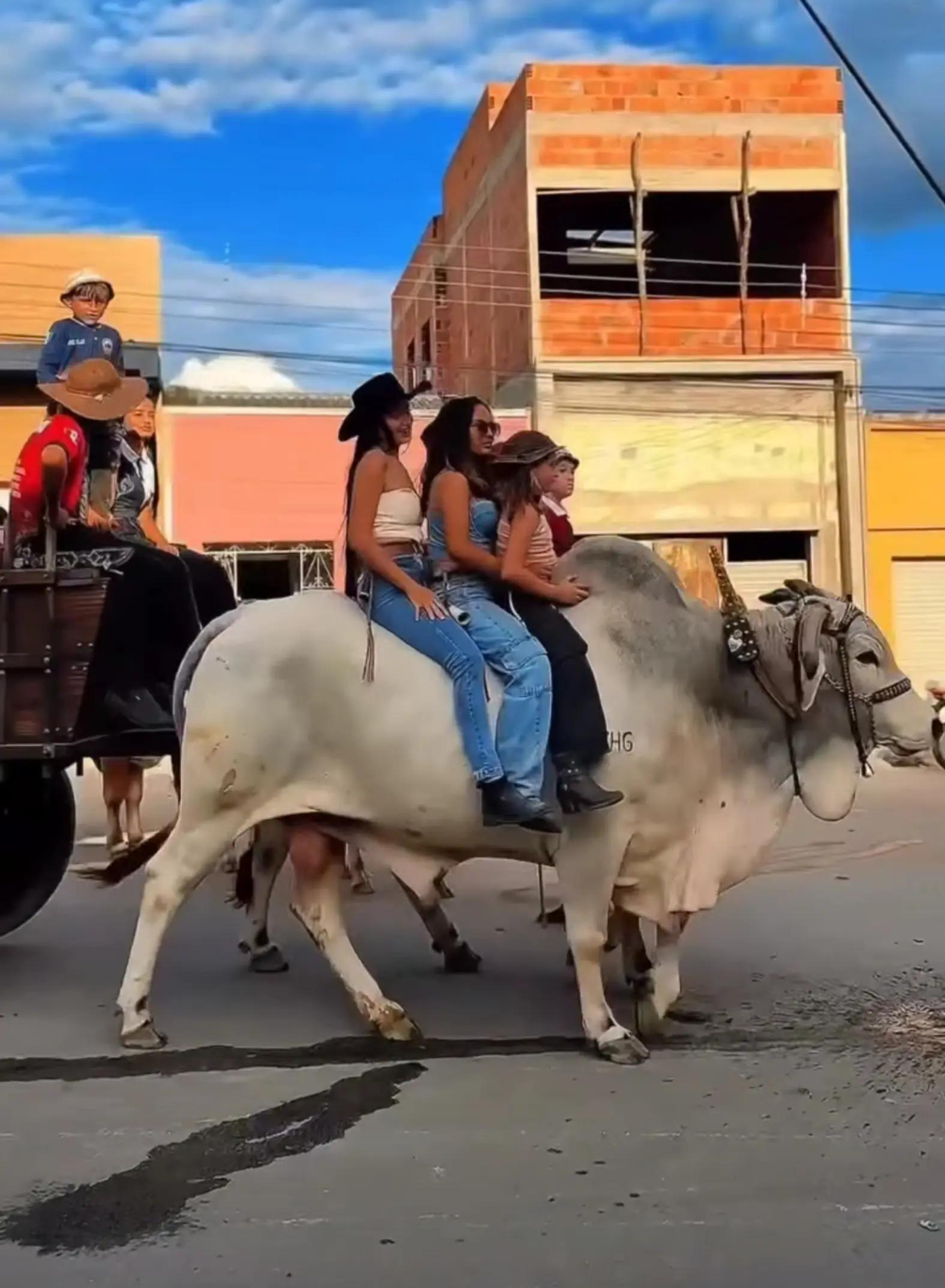 @sil guerra