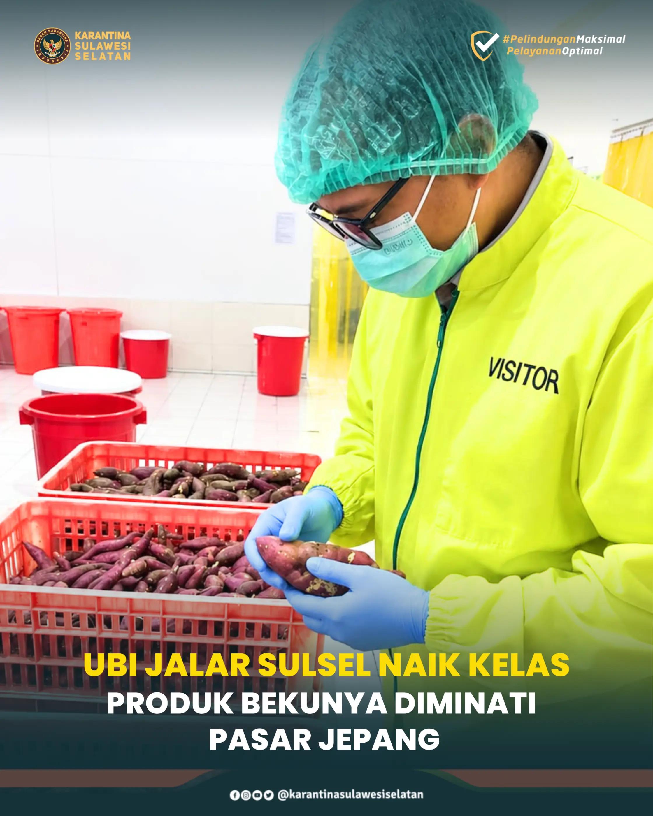 @Karantina Sulawesi Selatan