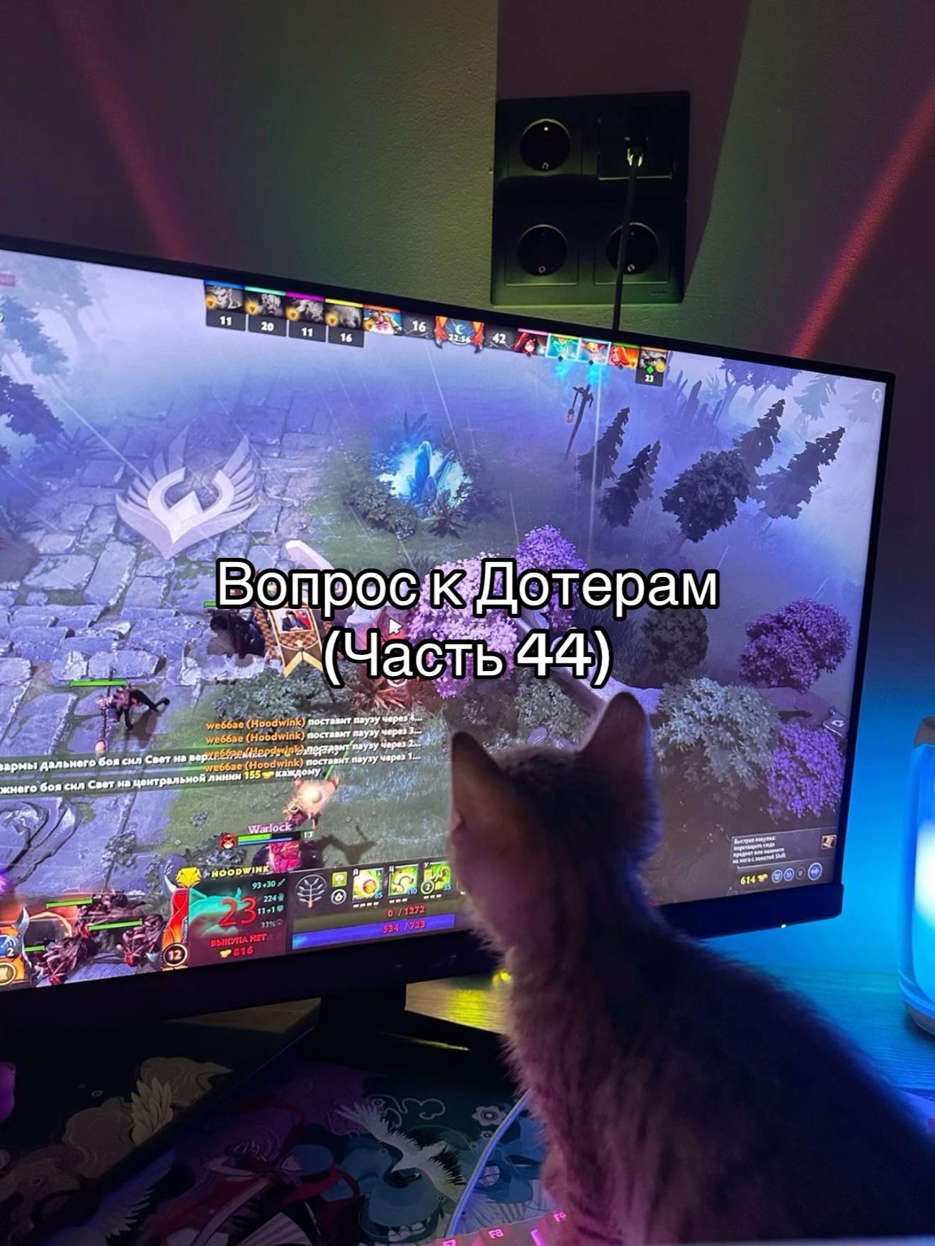 @Ubivashka