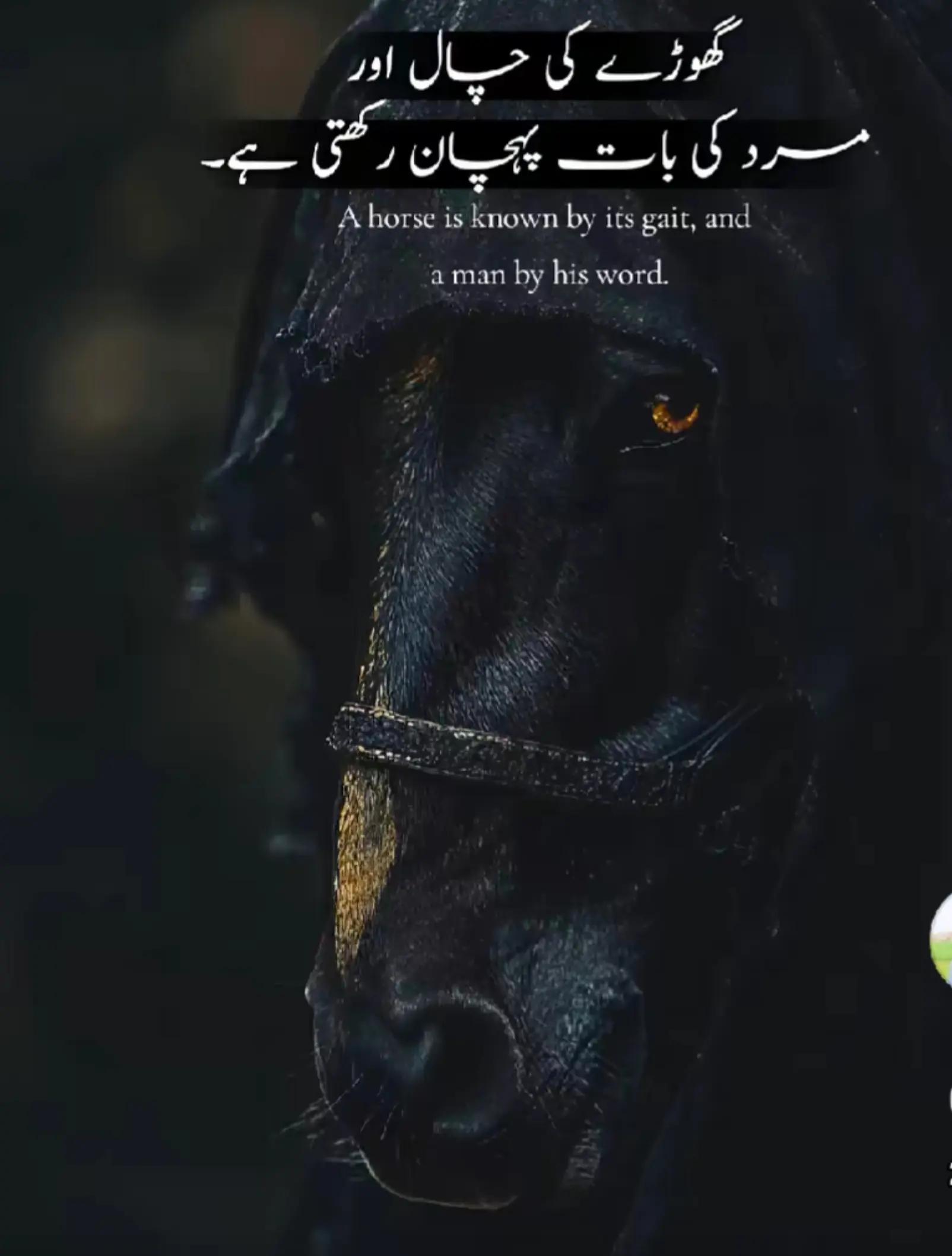 @✍️ᥫ᭡𝓐𝓵𝓲🦋🥀