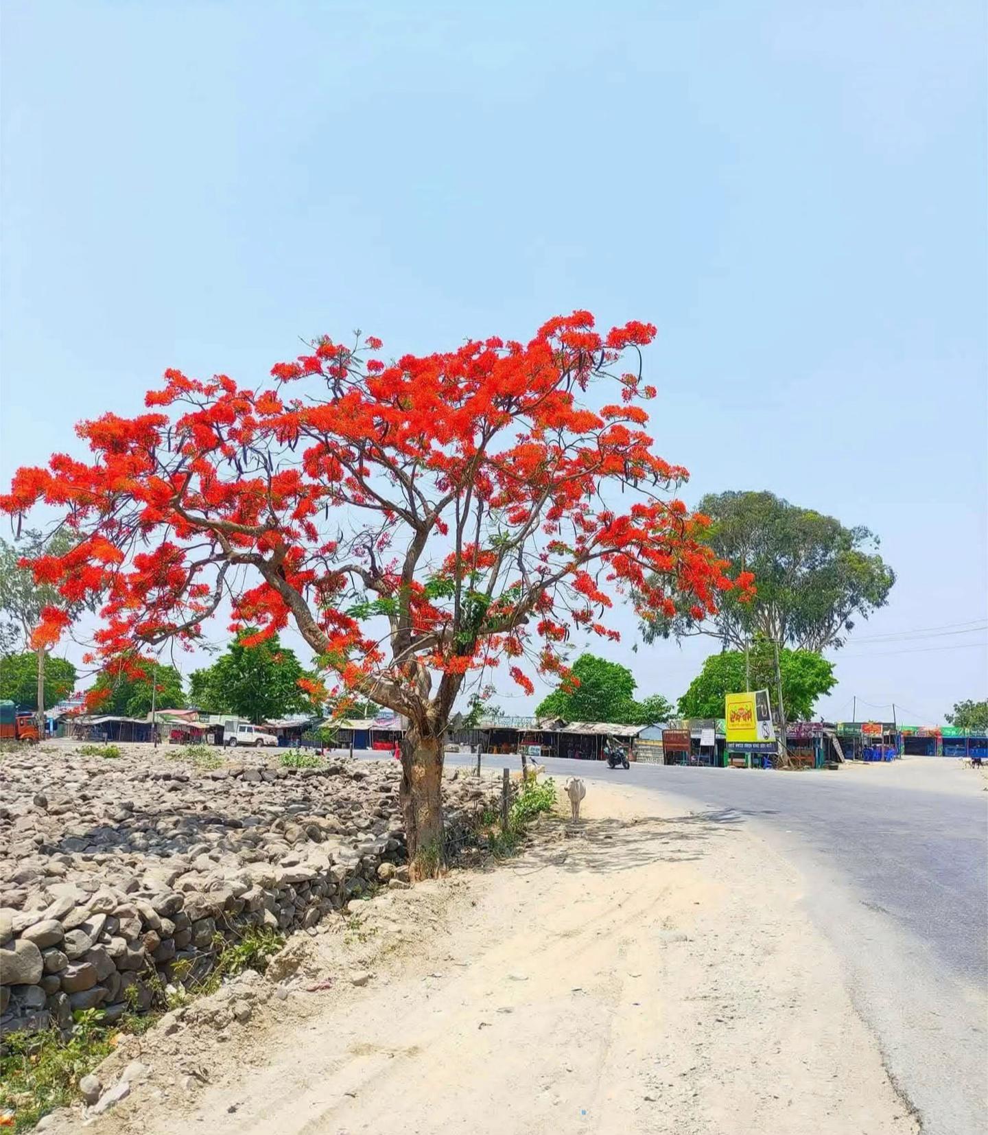 @Ramkushwaha108