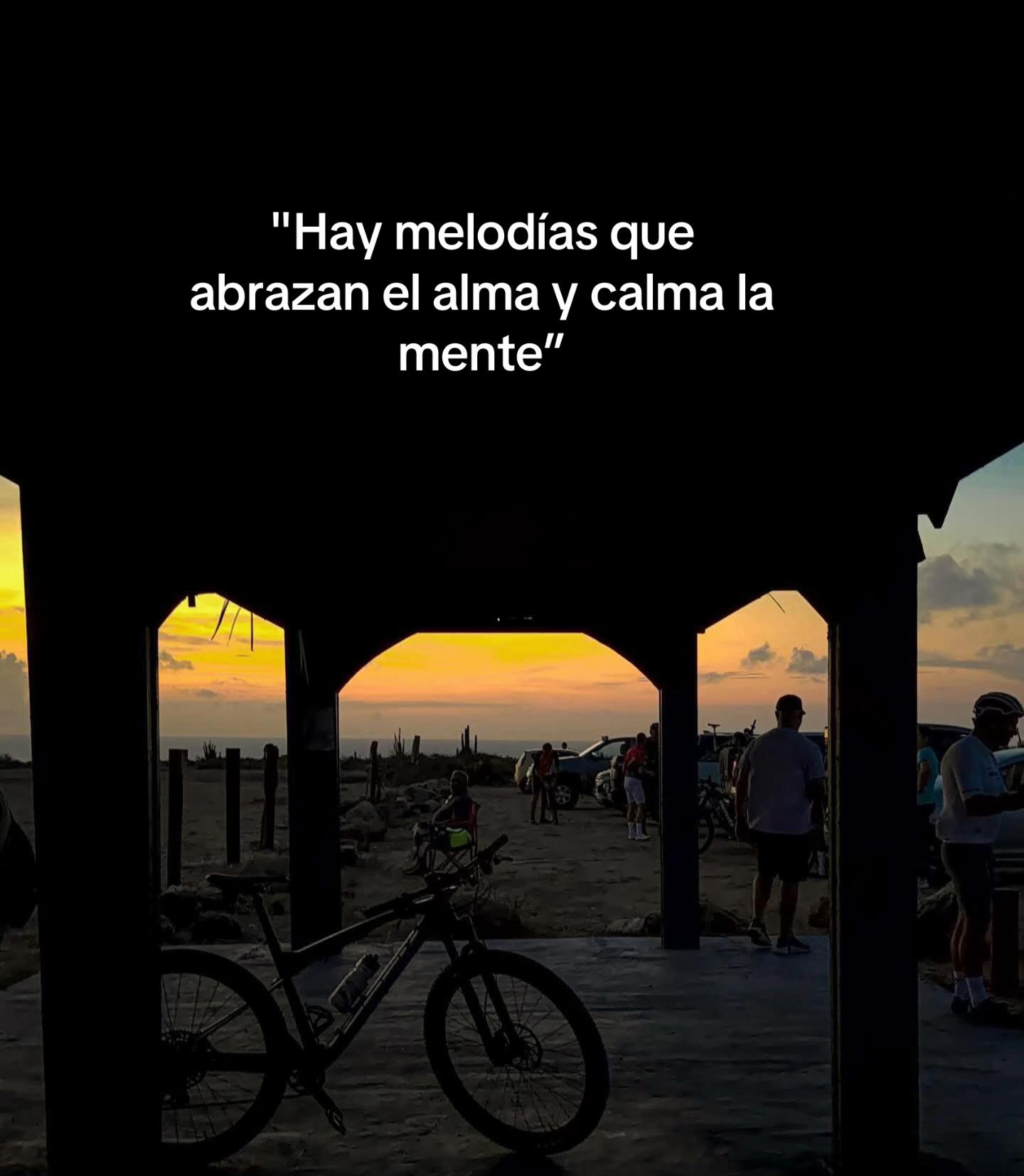 @luzbelizario