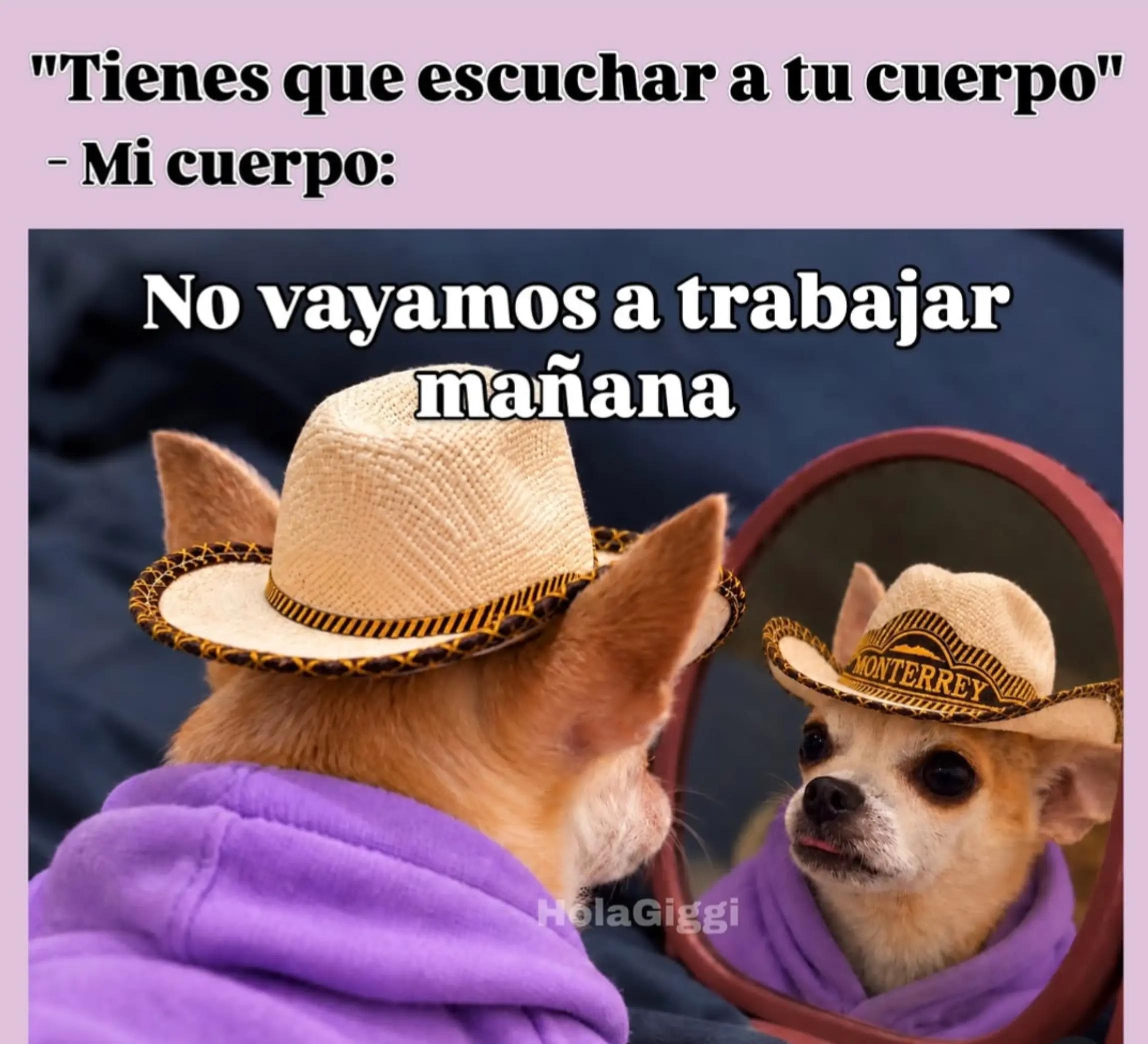 @ANA💙👑