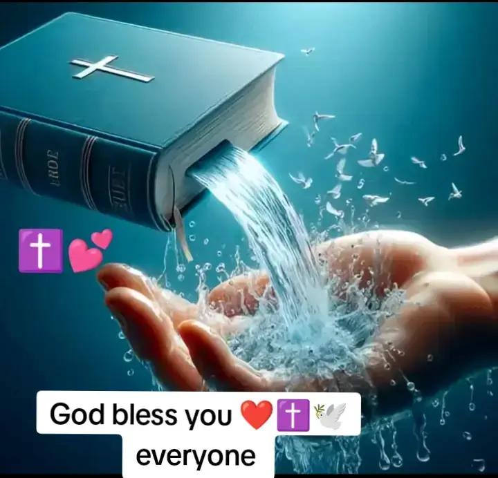 @چٹا صاحب 214✨🖤