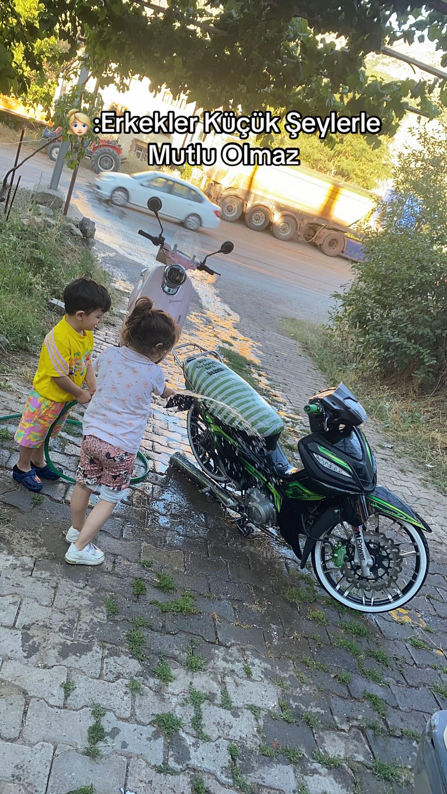 @Kütükk🐊