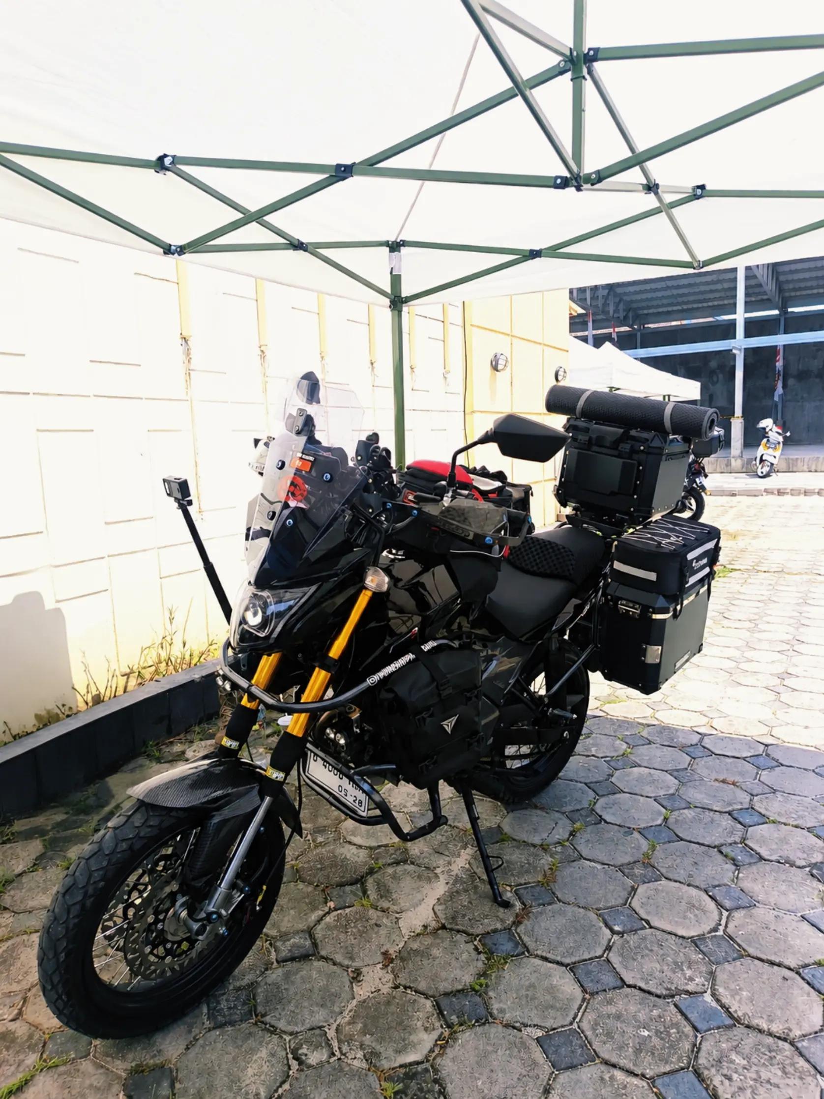 @Blue_Mamba