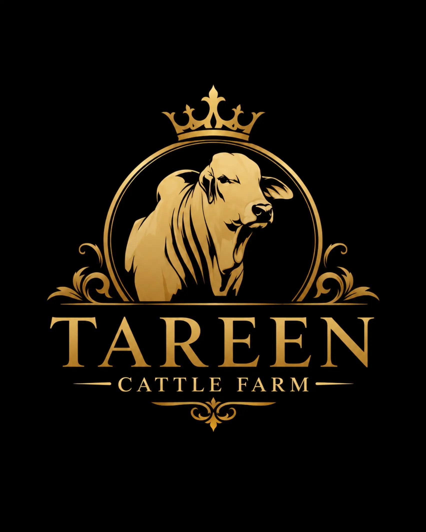 @Tareen Cattel Farm