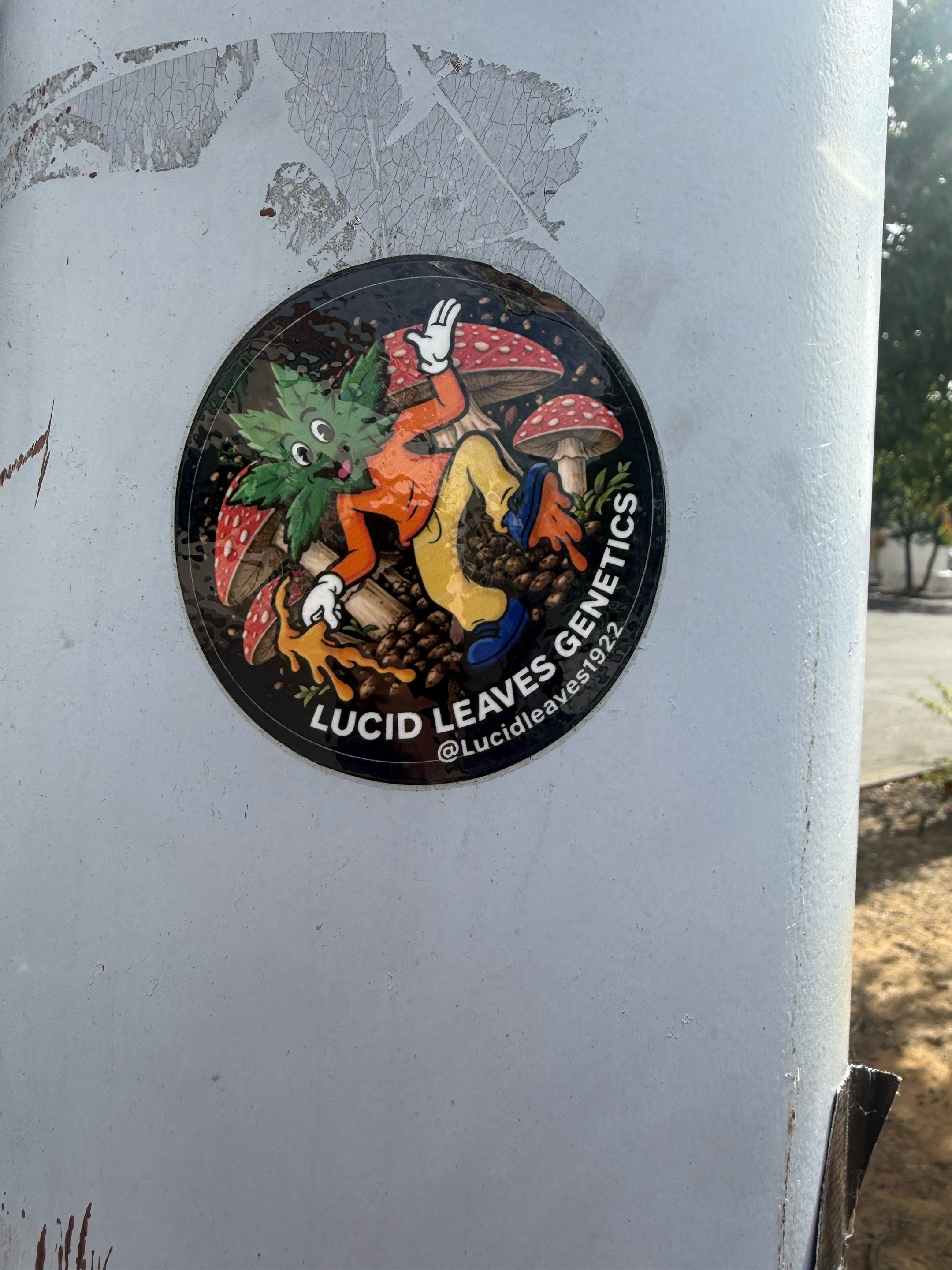 @Lucid Genetics