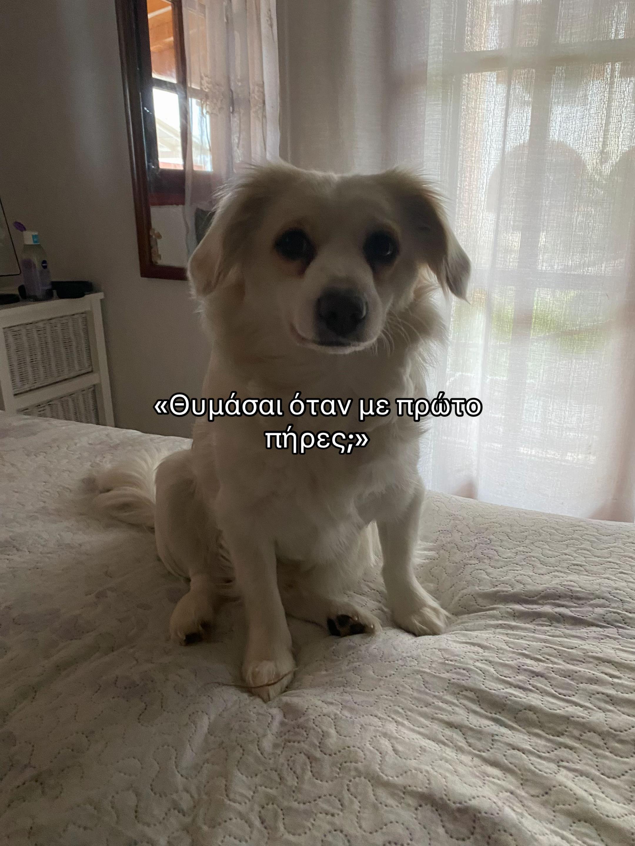 @ειρηνακιι
