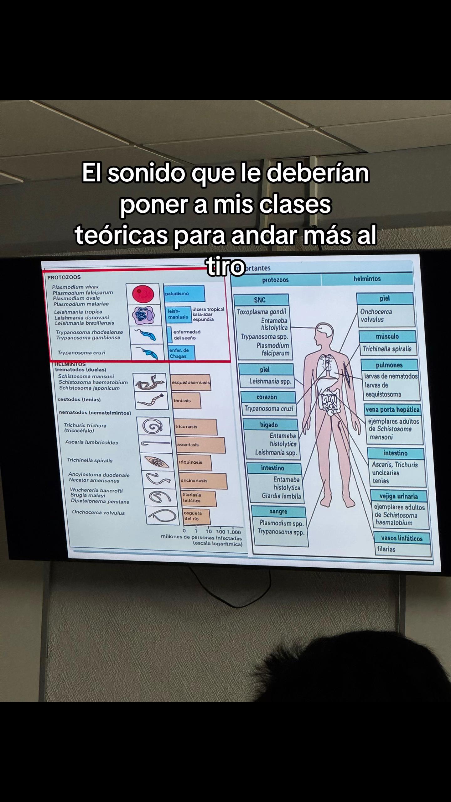 @yaelgutierrezz