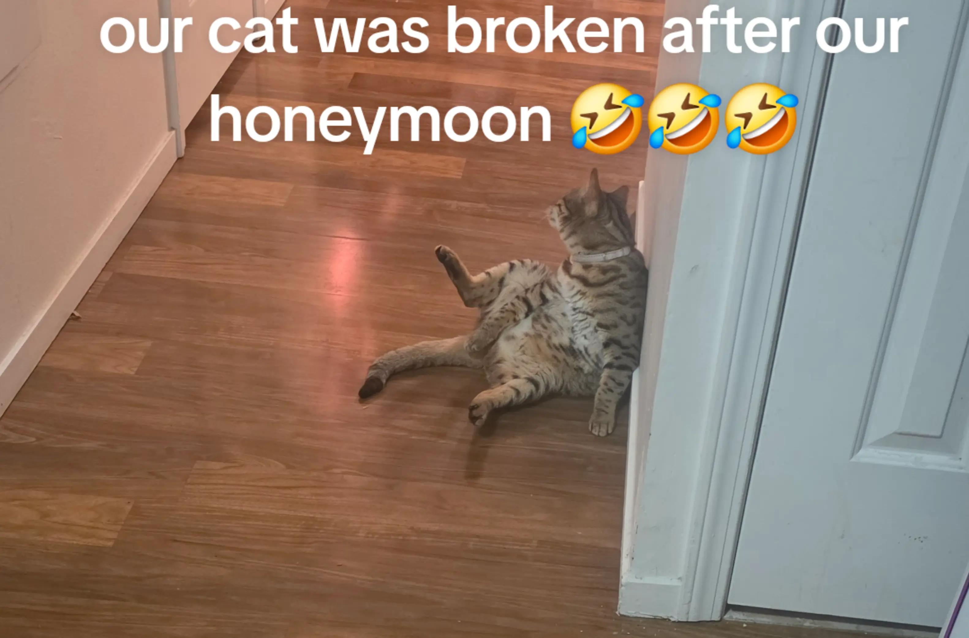 @letsseewhathappens