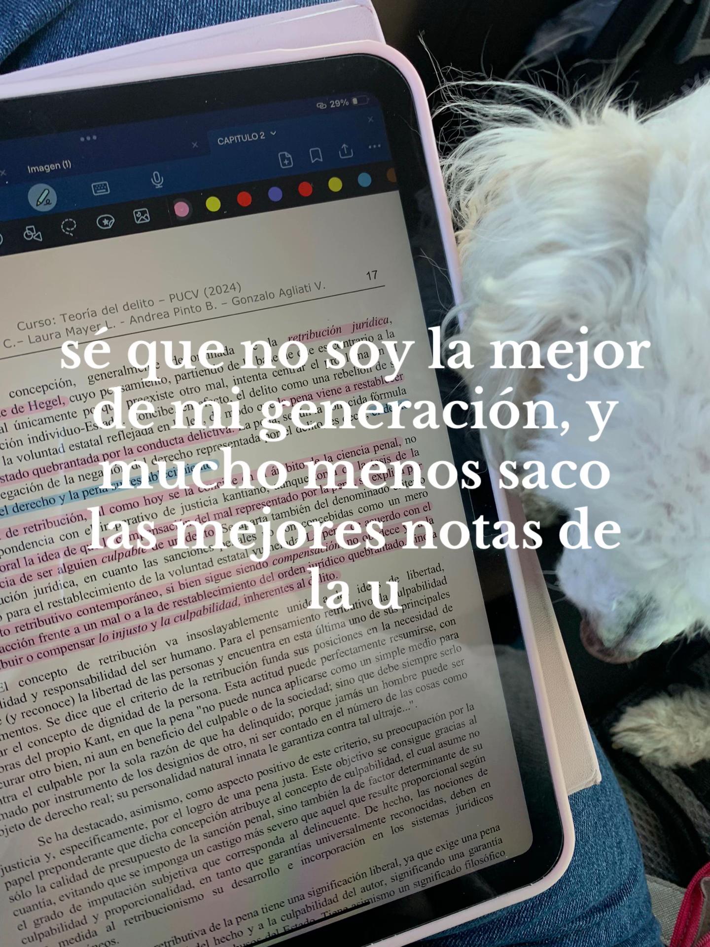 @catita