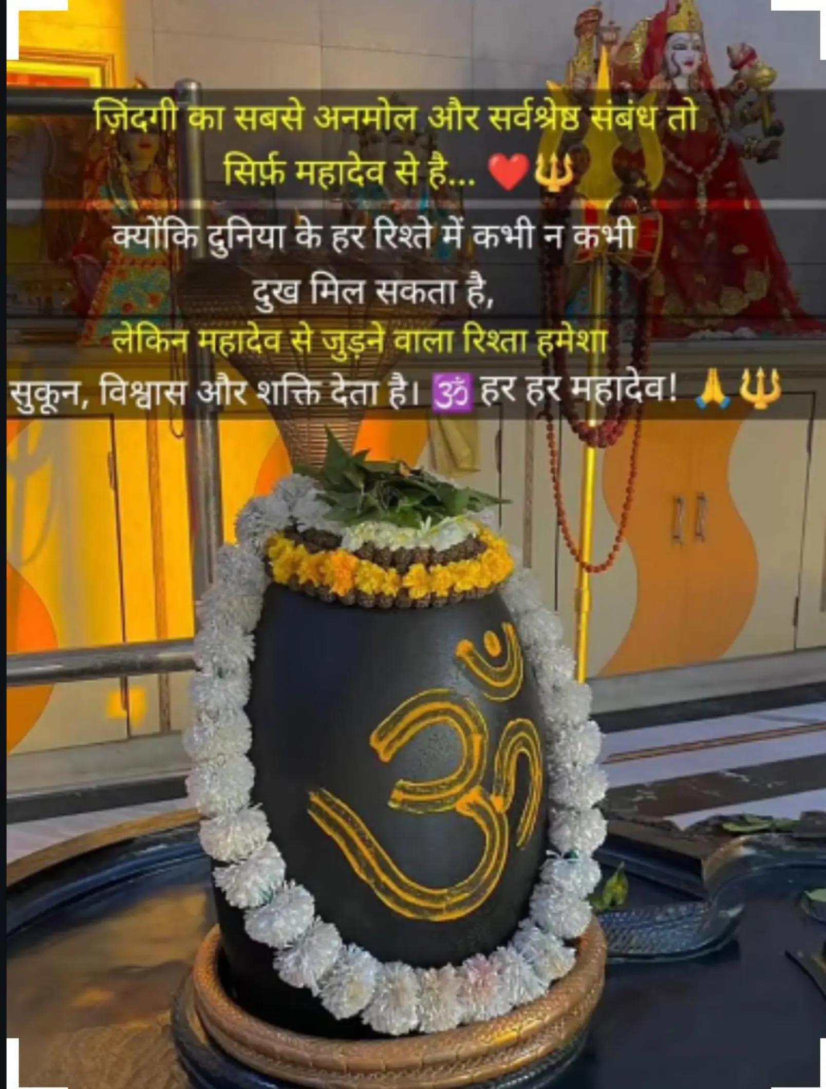 @Anjani Thakur🌻🌻
