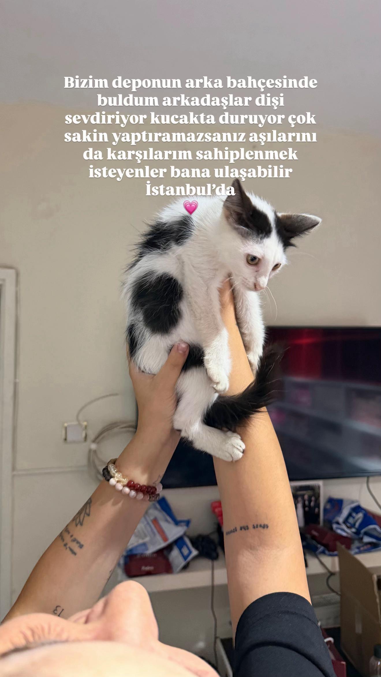 @Pelin Aden⭐️