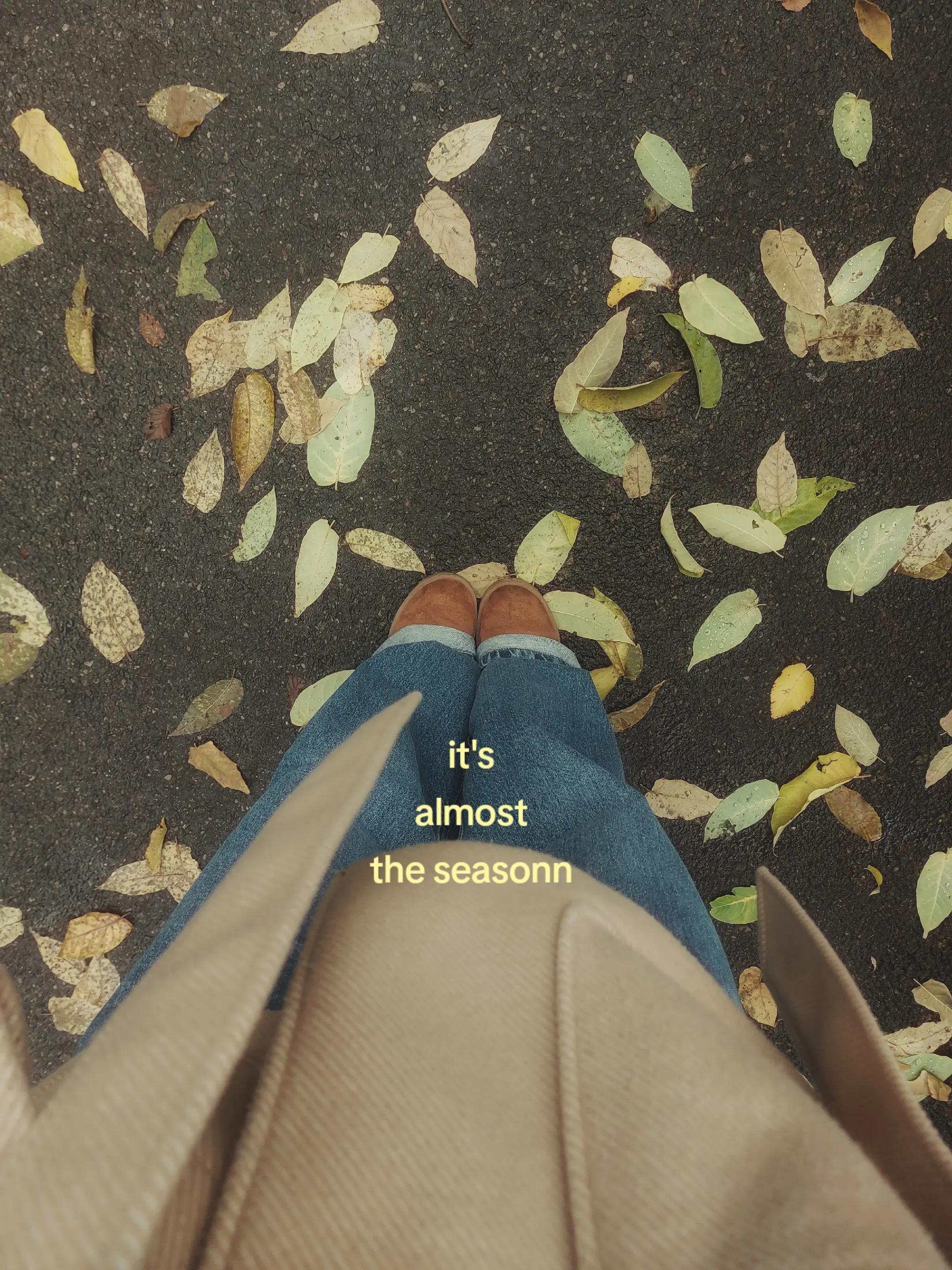 @elisa ͙⋆