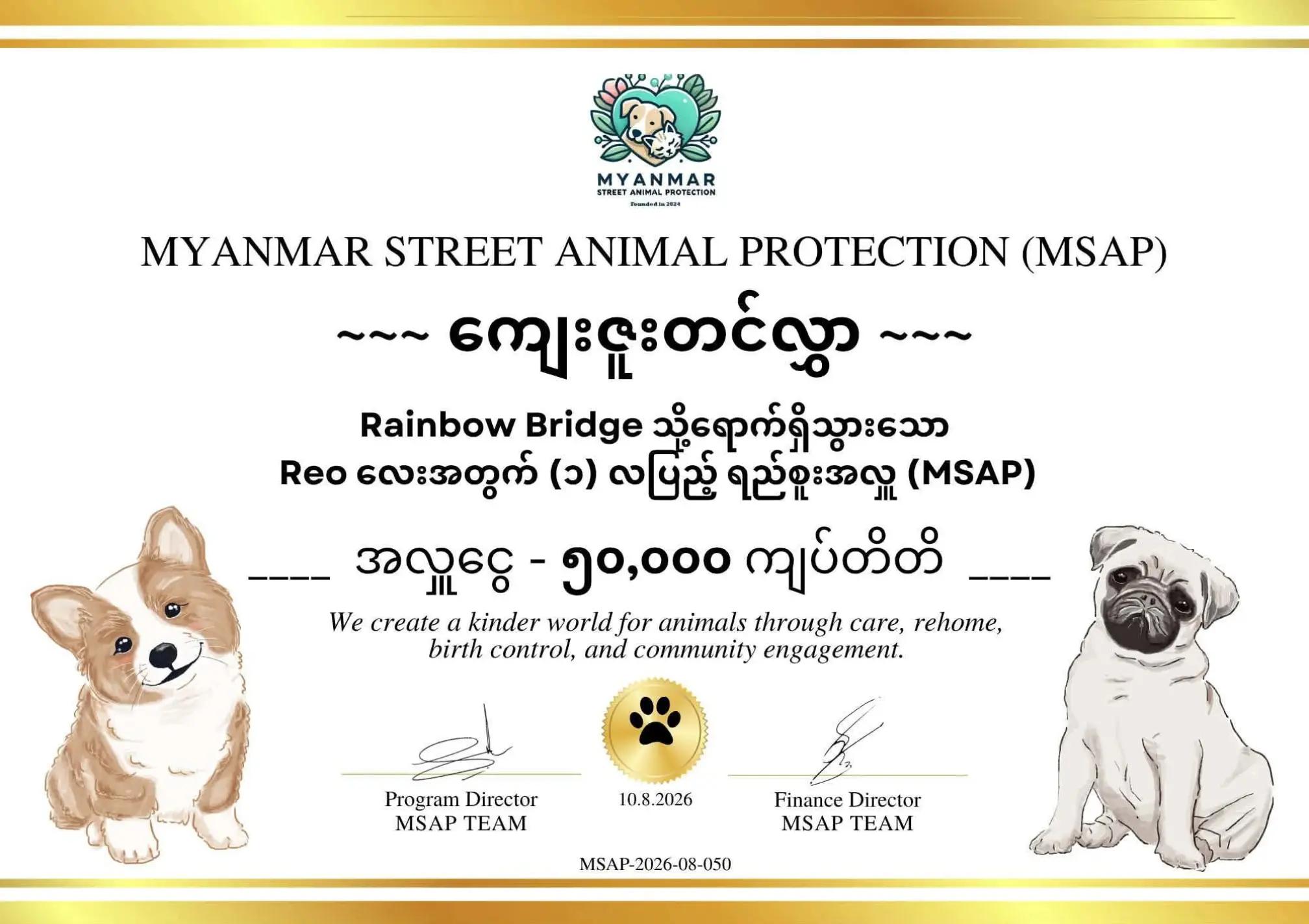 @MyanmarStreetAnimalProtection