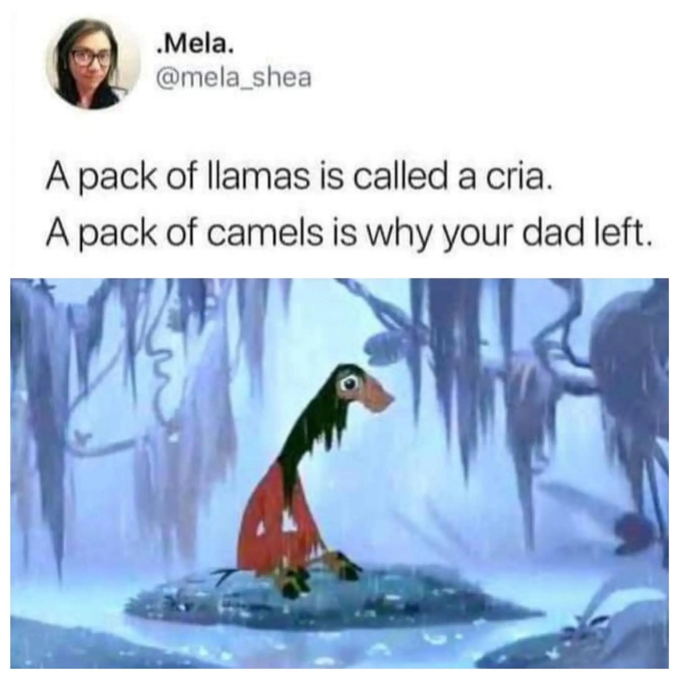 @SiLeNtKiLl44
