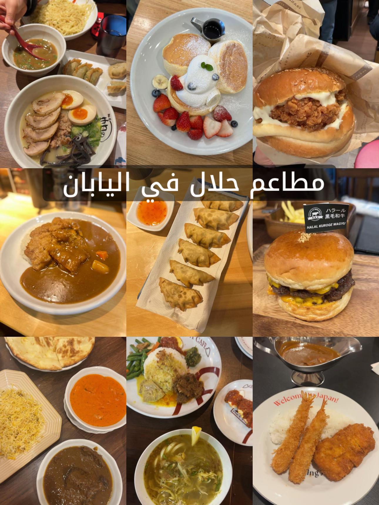 @Ms.HaneenAlhddad