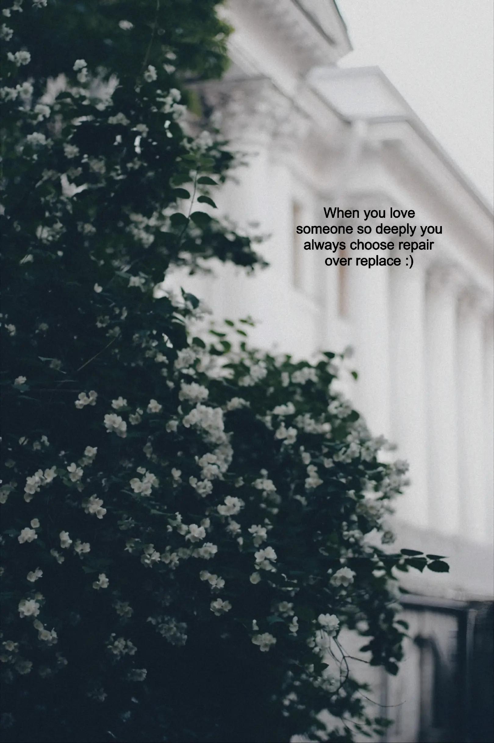 @☾︎𝑺𝒆𝒄𝒓𝒆𝒕 𝑳𝒐𝒗𝒆𝒓☽︎