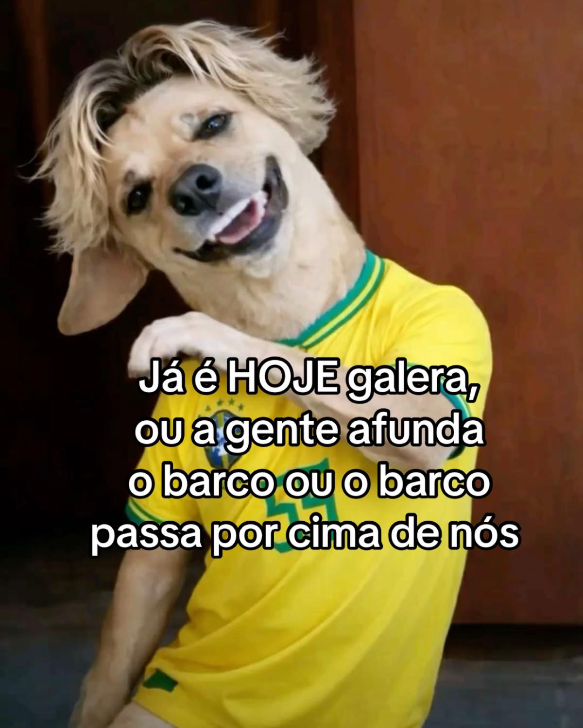 @Erica Werneck
