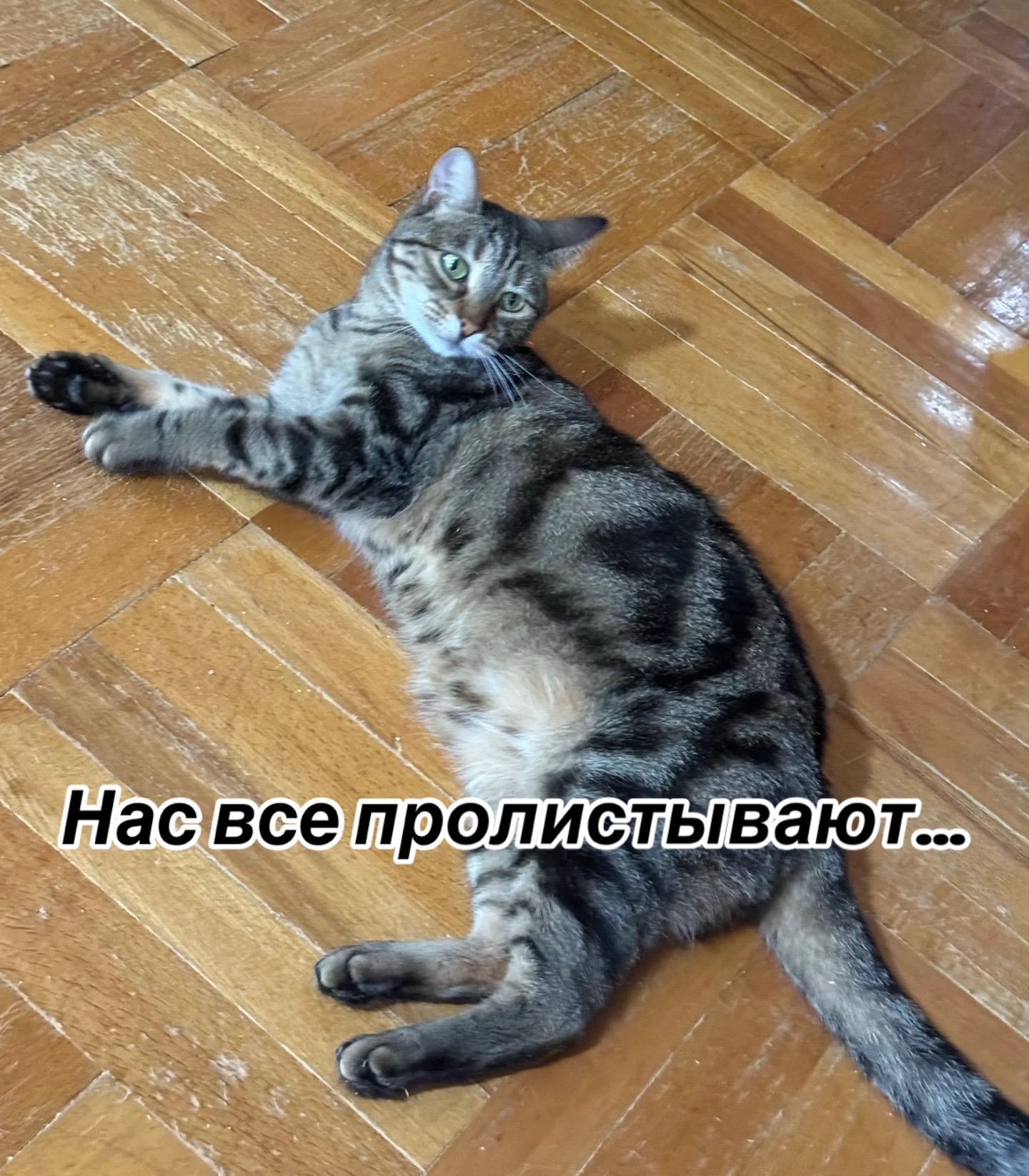 @Приют Потеряшка