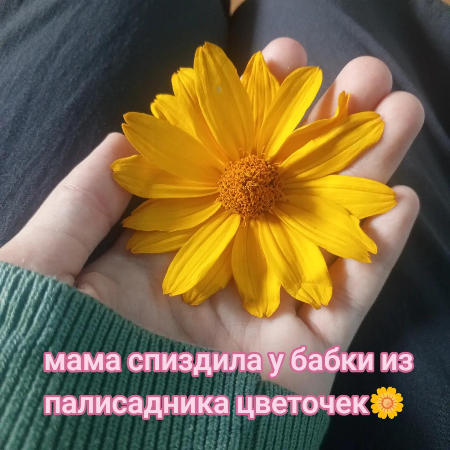 @FKS