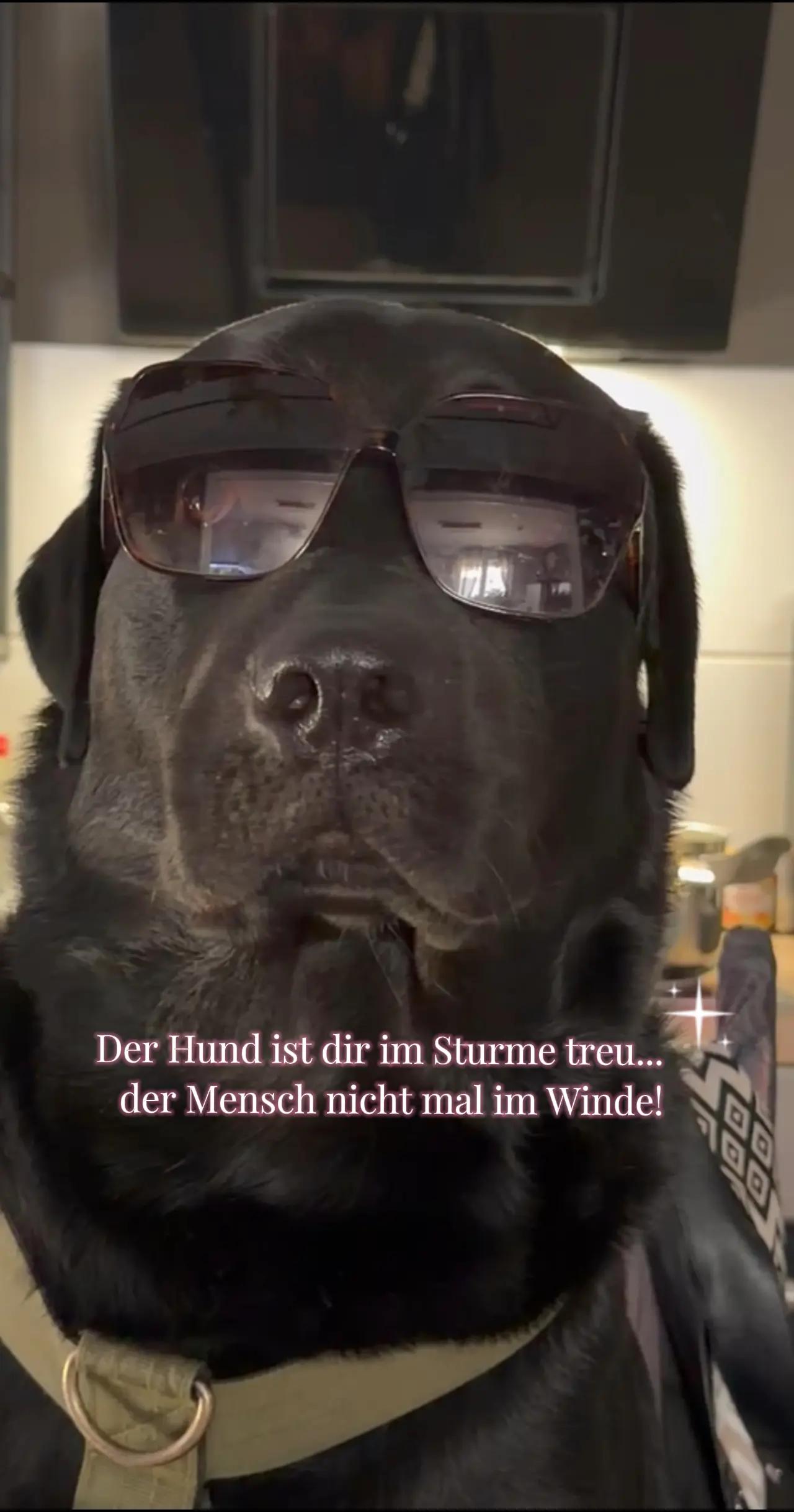 @SandiK78