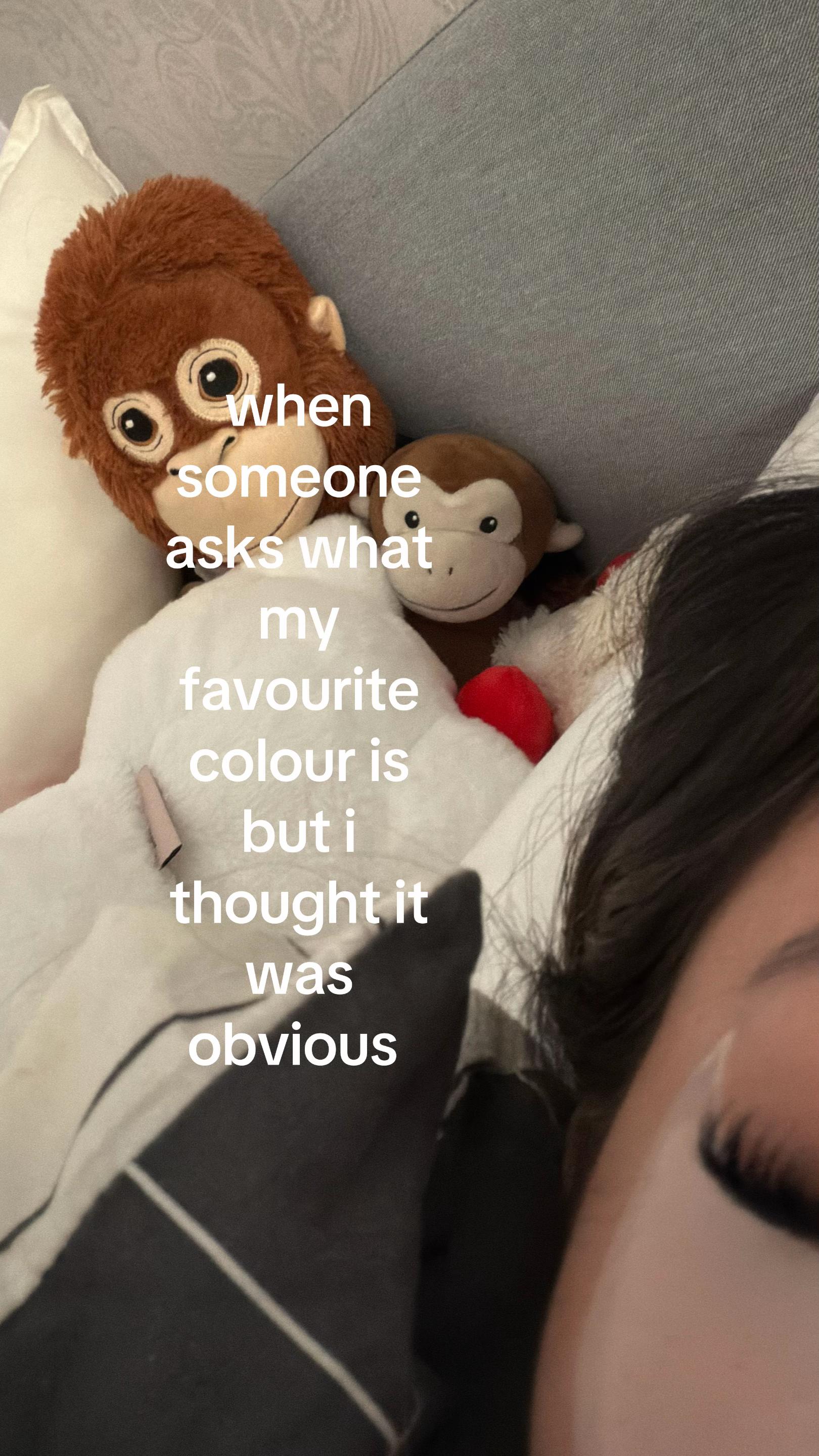 @miya
