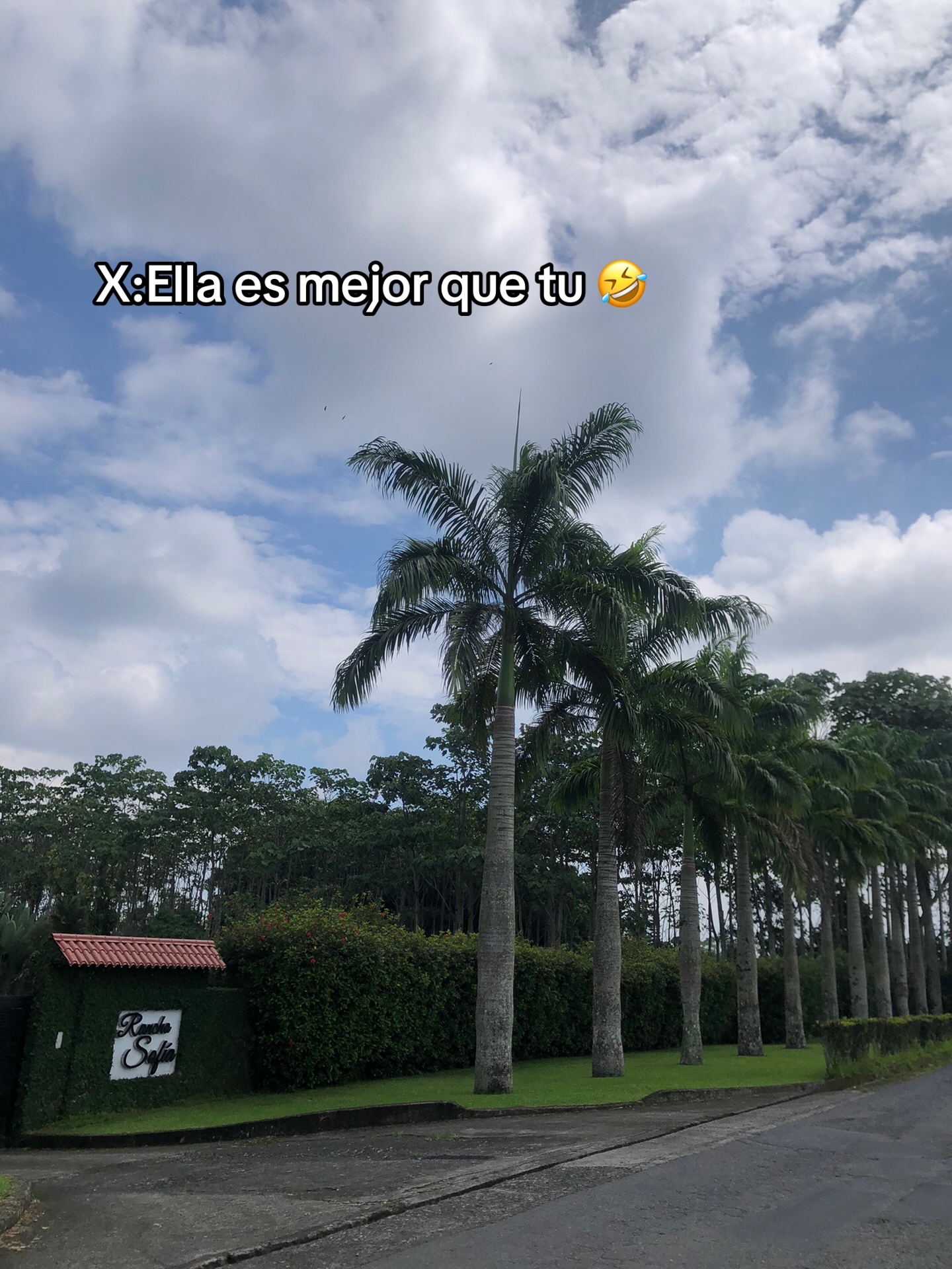 @𝓜𝓪𝓻𝔂-𝓰𝓪𝓲𝓫𝓸𝓻